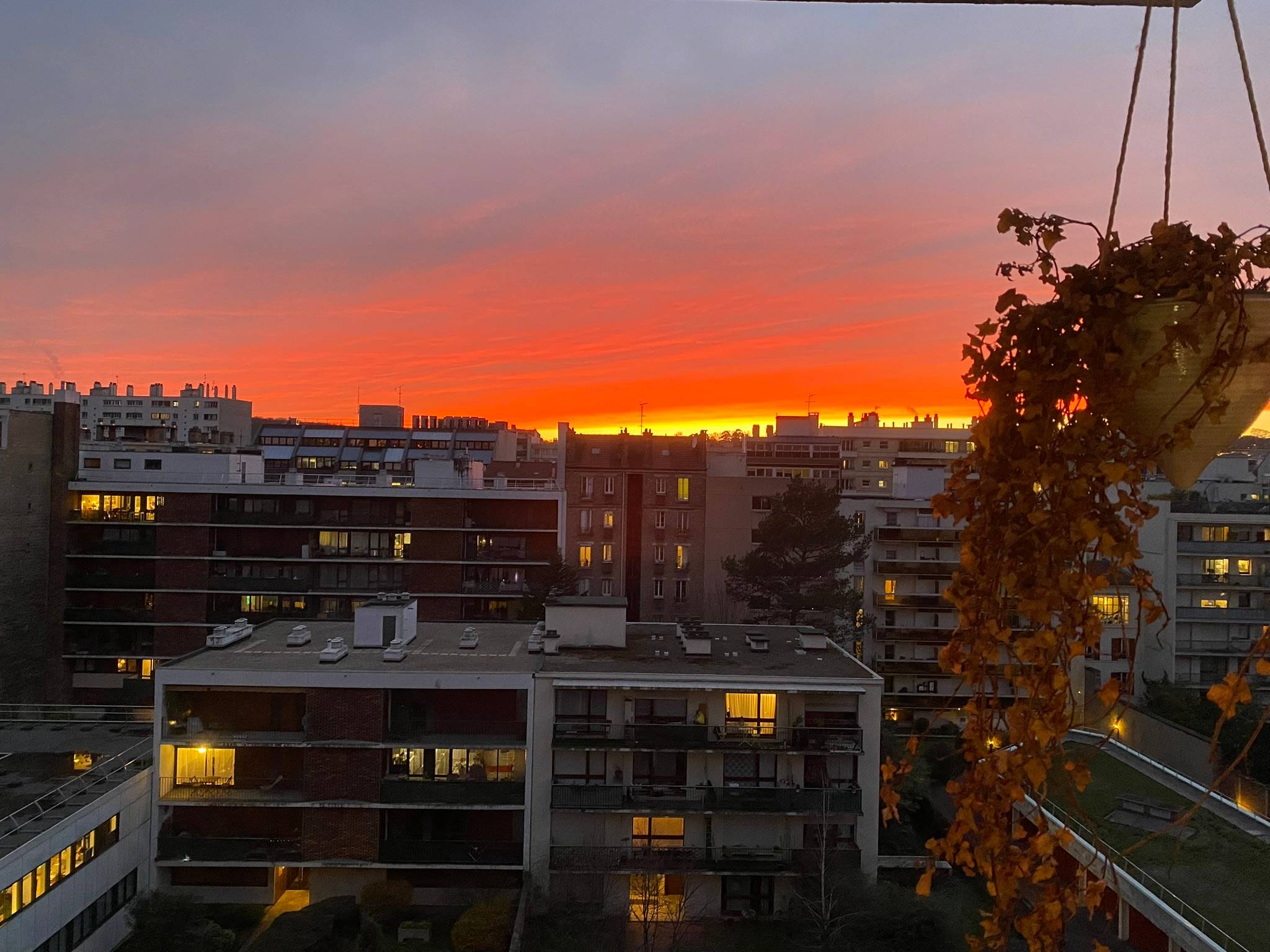 Une photo de l’annonce