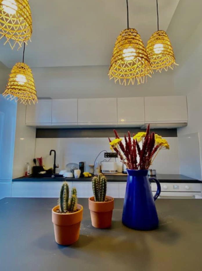 Une photo de l’annonce