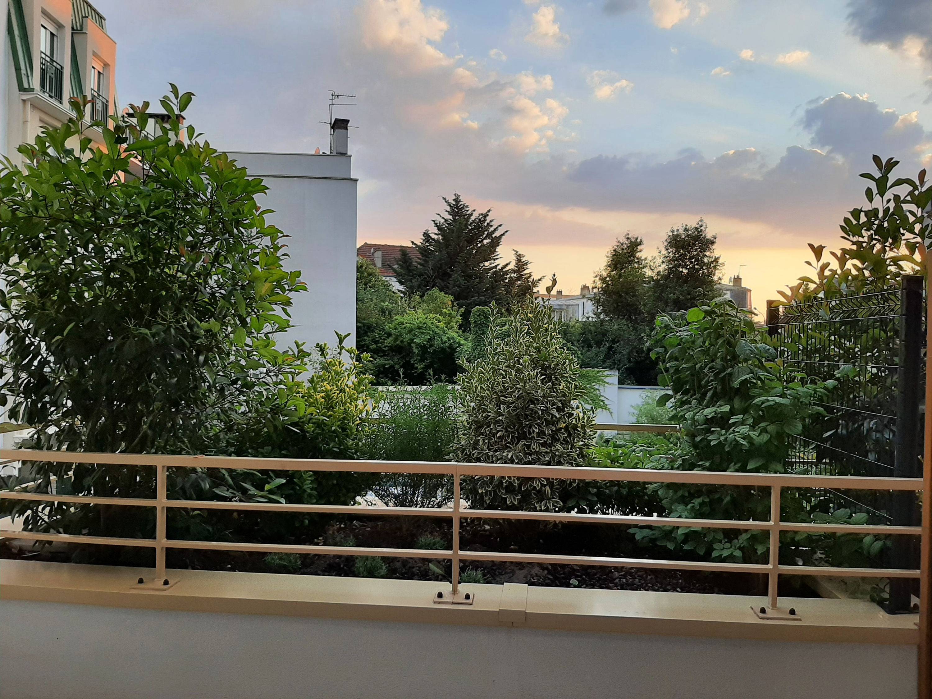 Une photo de l’annonce