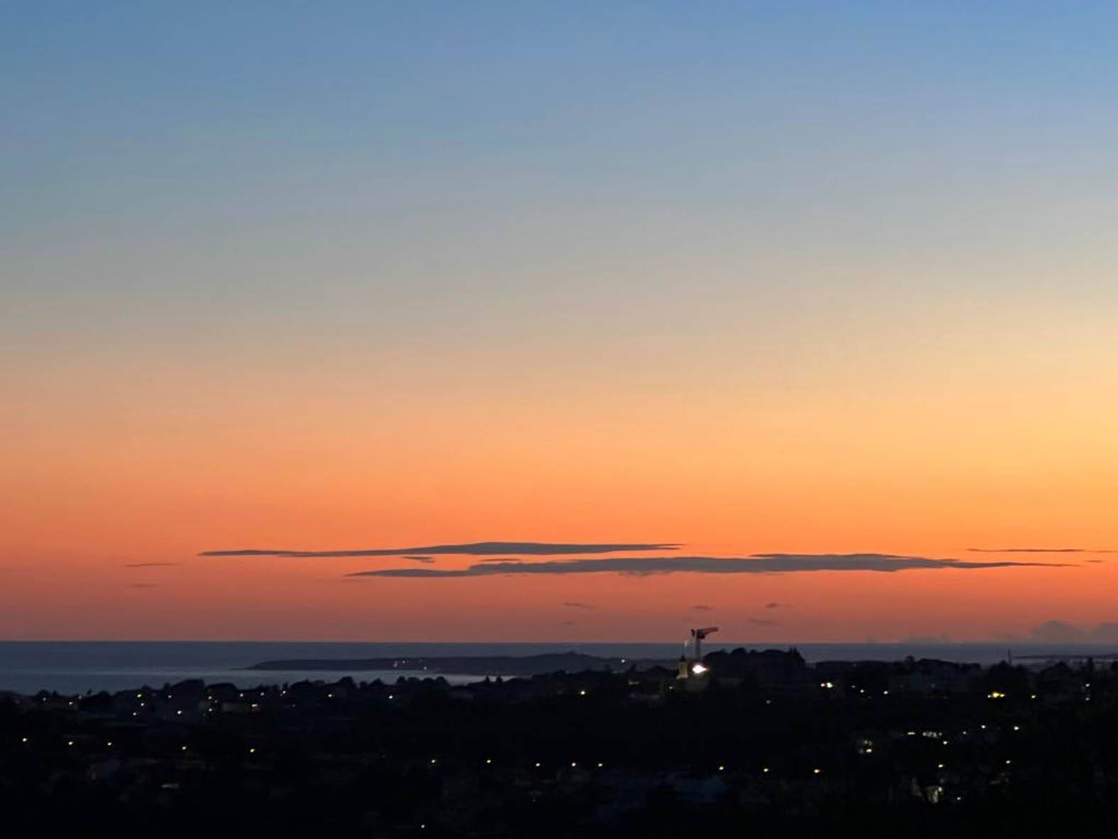 Une photo de l’annonce