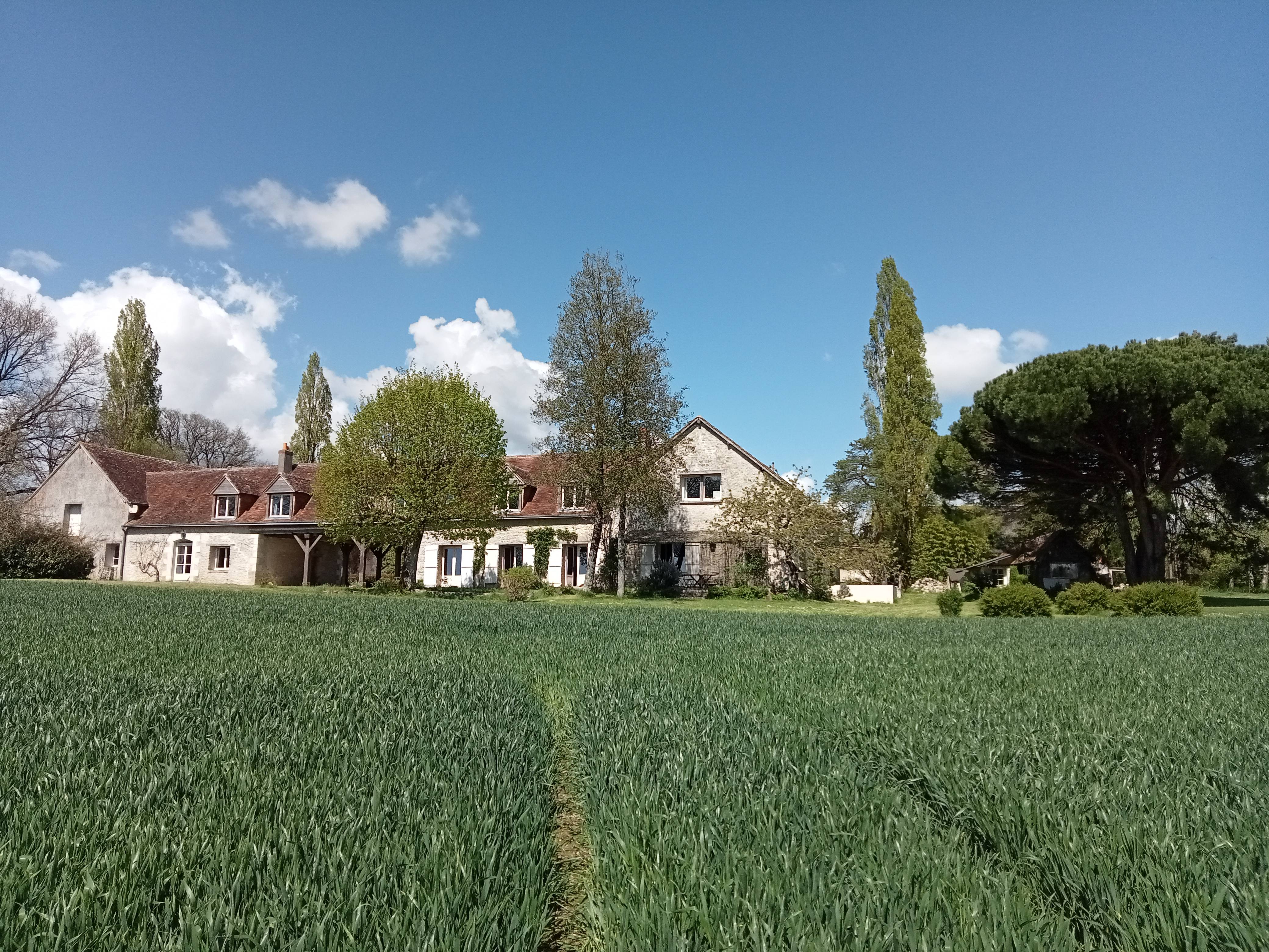 Loue maison de charme - 15 couchages - Genillé (37)
