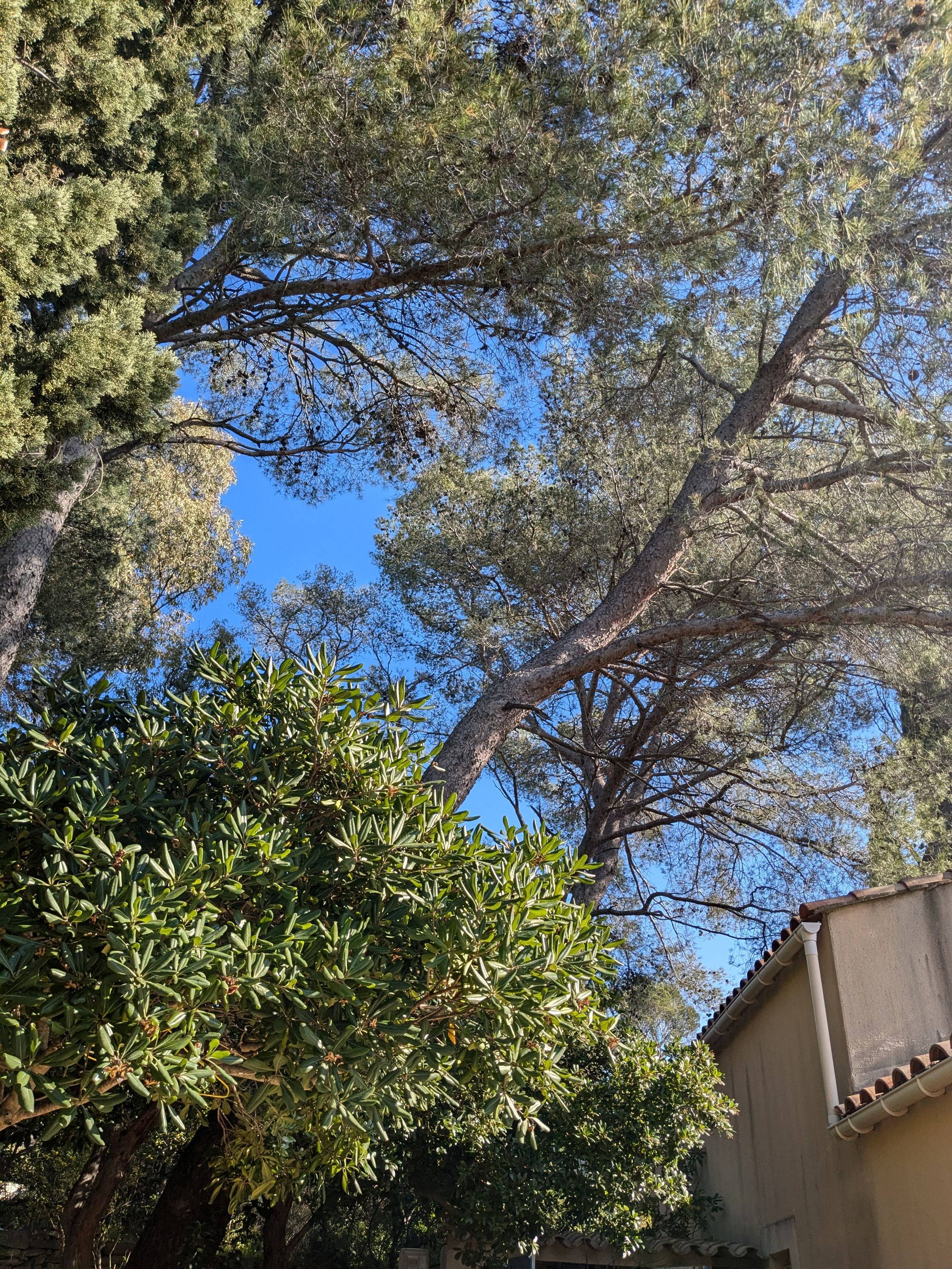 Une photo de l’annonce de location de vacances