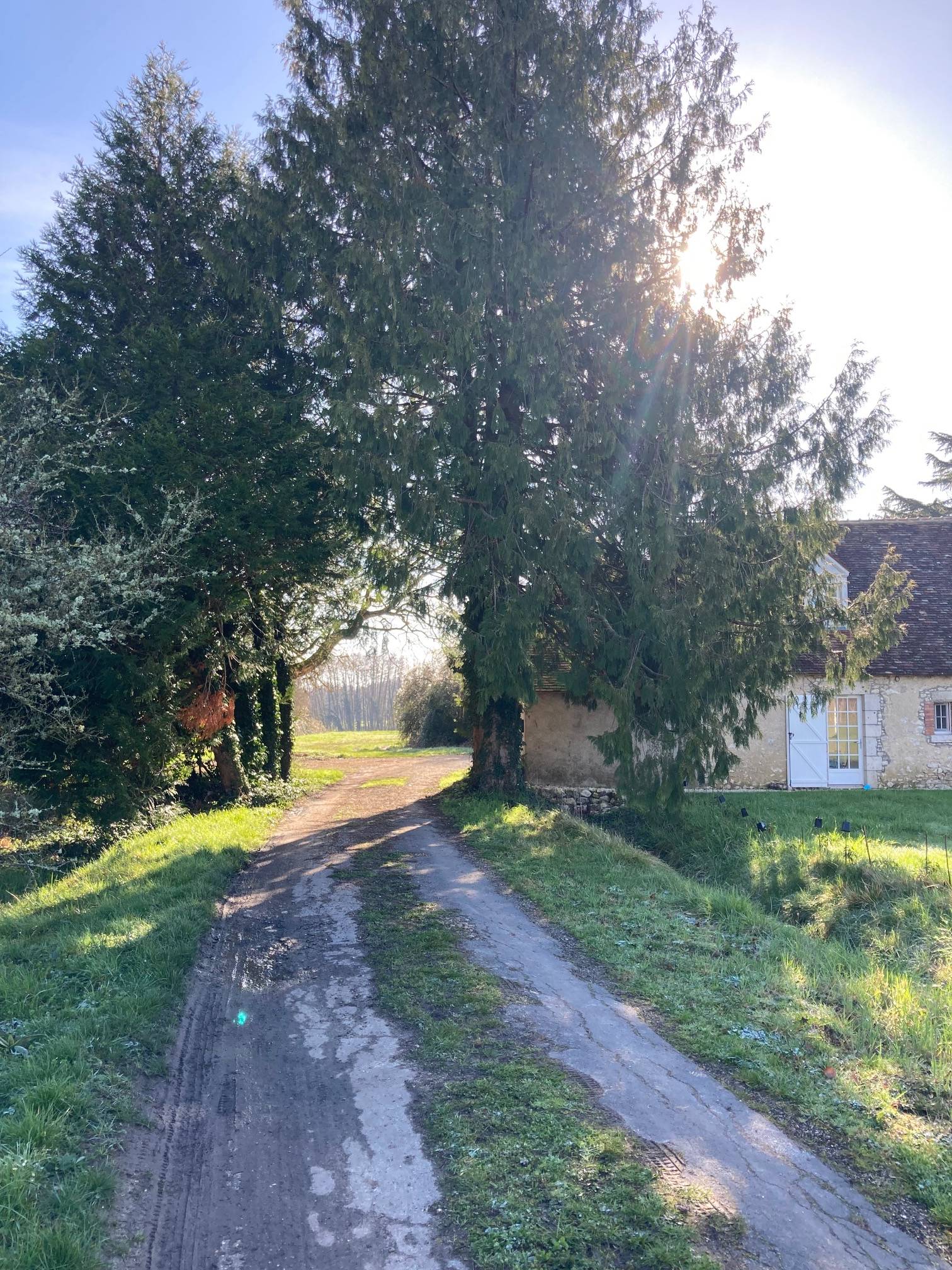 Une photo de l’annonce