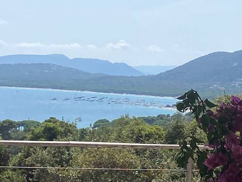 Loue villa en Corse-du-Sud - 14 couchages - 6 ch