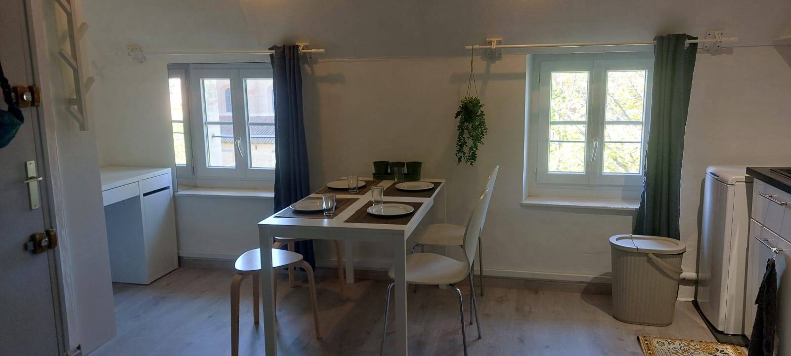 Loue studio meublé St Sernin hyper centre Toulouse 1 chambre · 21m²
