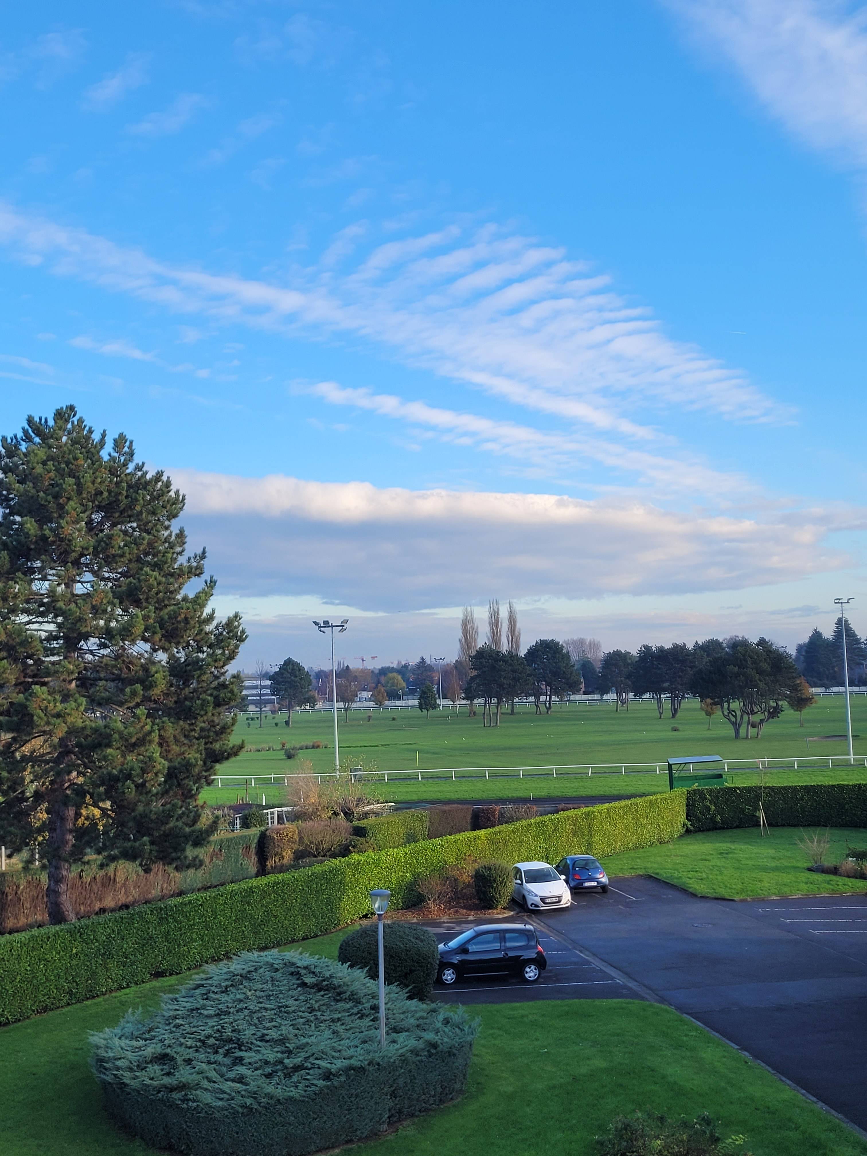 Une photo de l’annonce