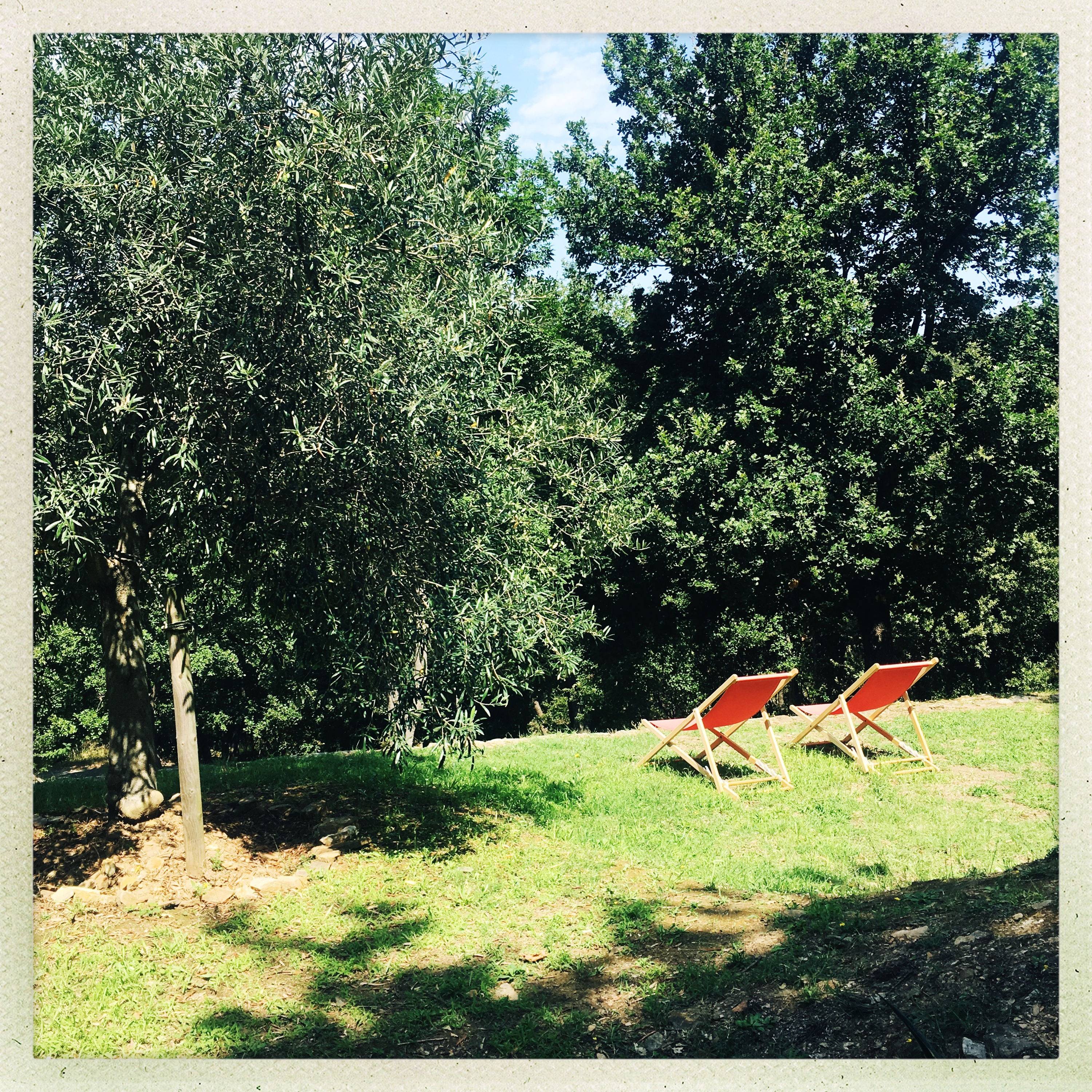 Une photo de l’annonce de location de vacances
