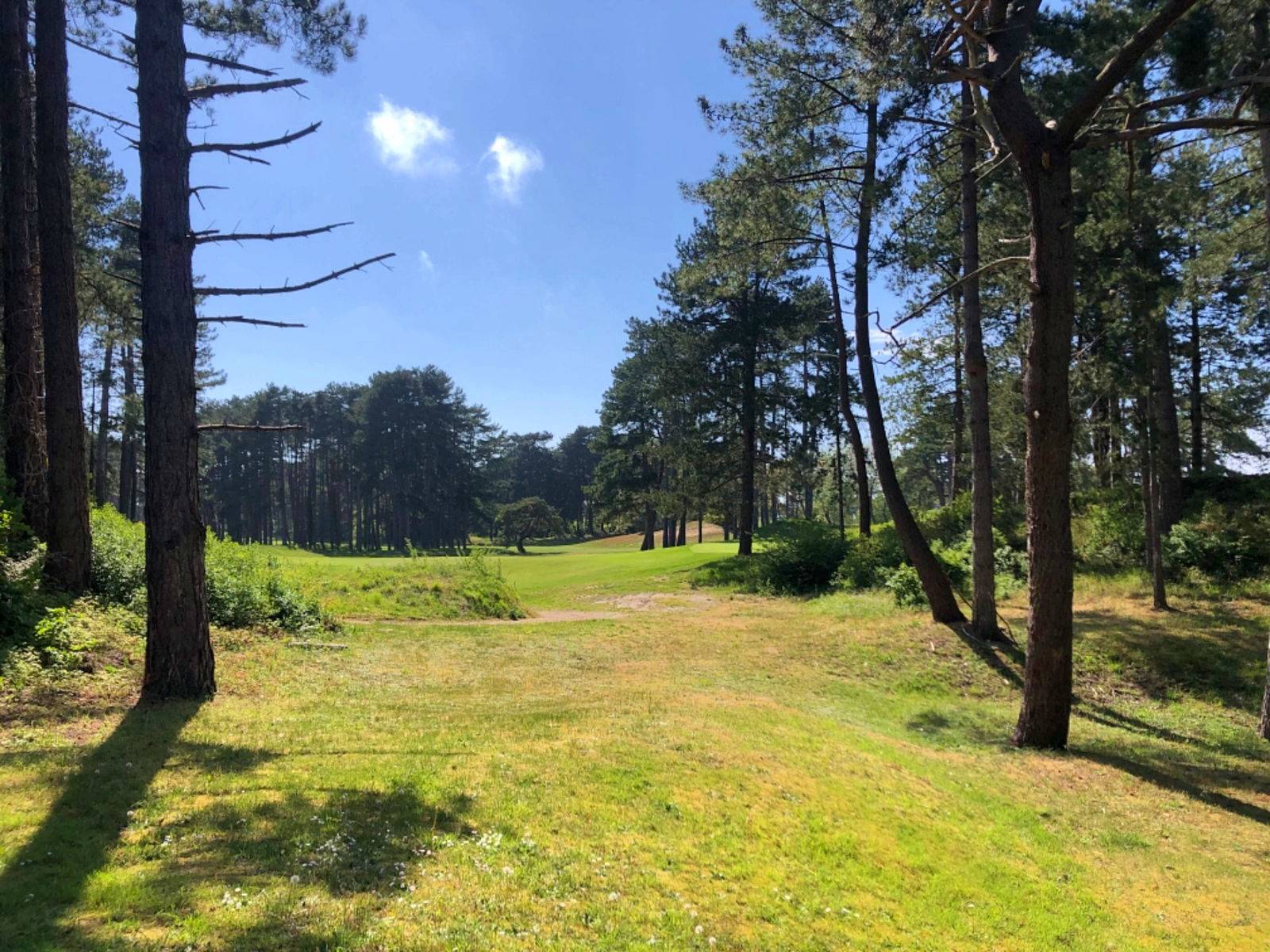 Une photo de l’annonce de location de vacances