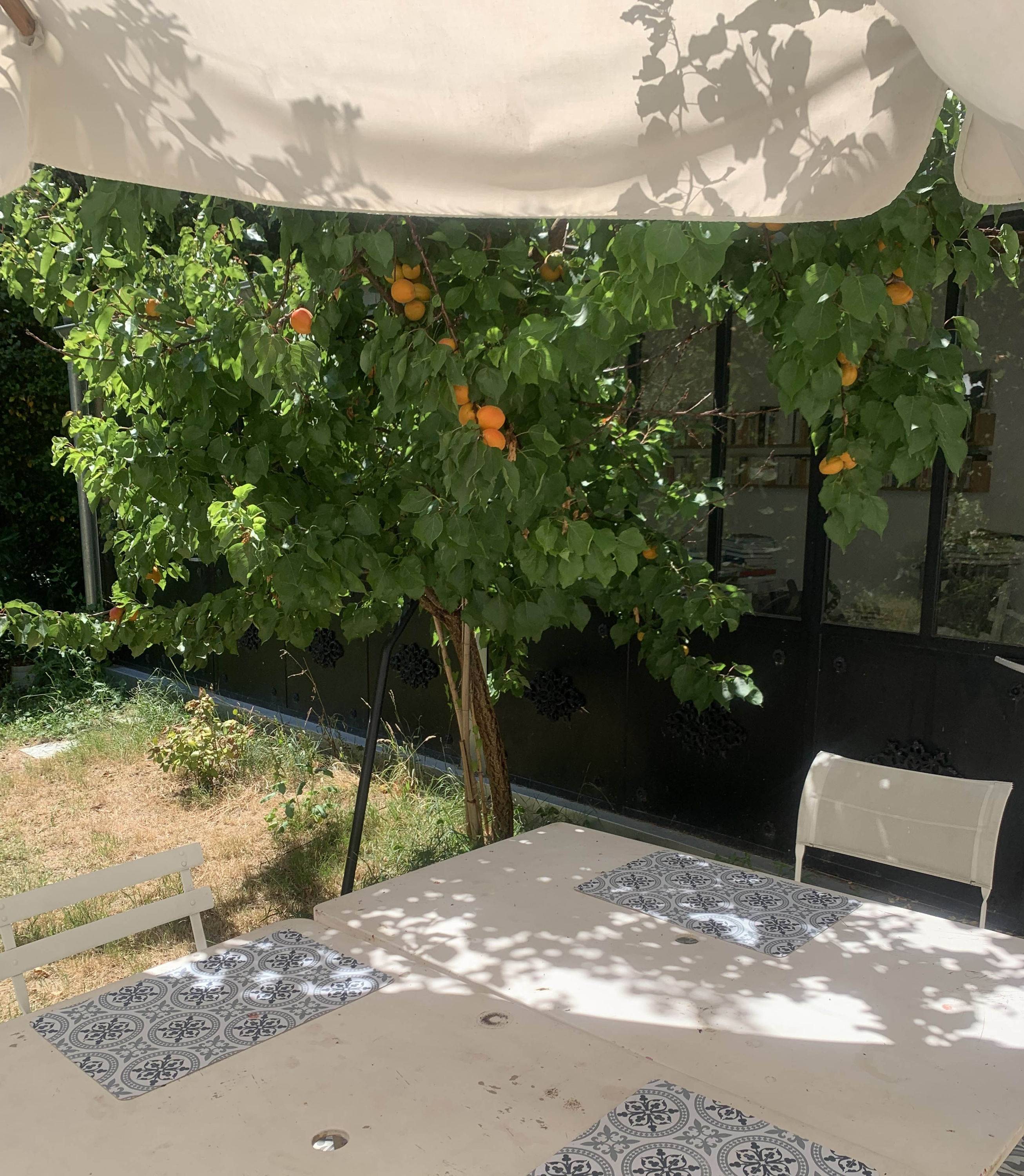 Loue logement étudiant de 28m² (chambre + bureau + salle de bain) dans maison avec jardin Nantes hypercentre