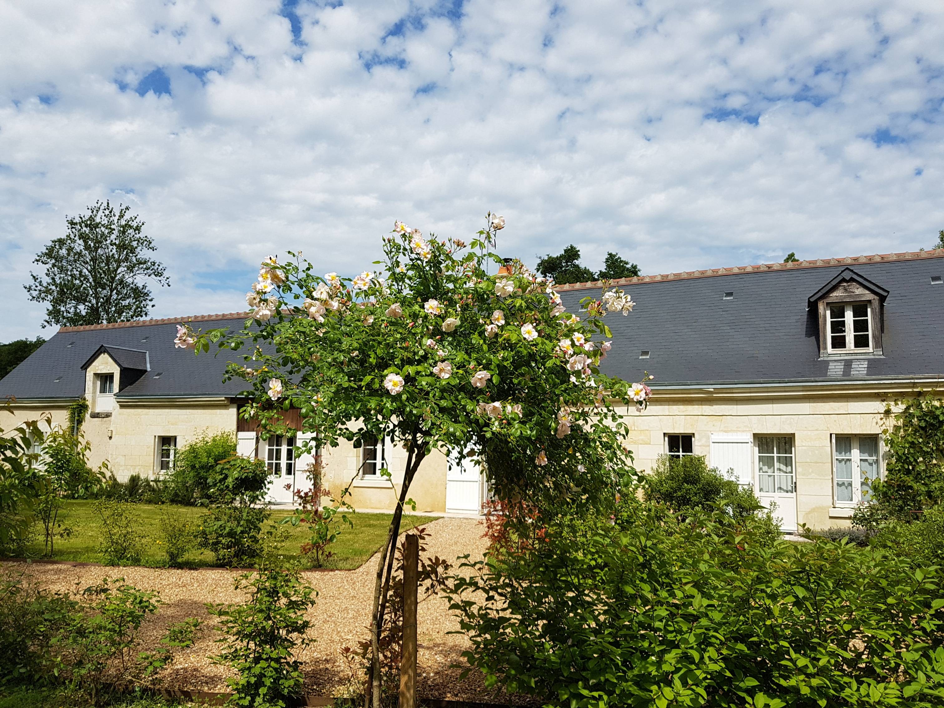 Loue maison tourangelle en pleine nature - 12 couchages - Épeigné-sur-Dême (37)