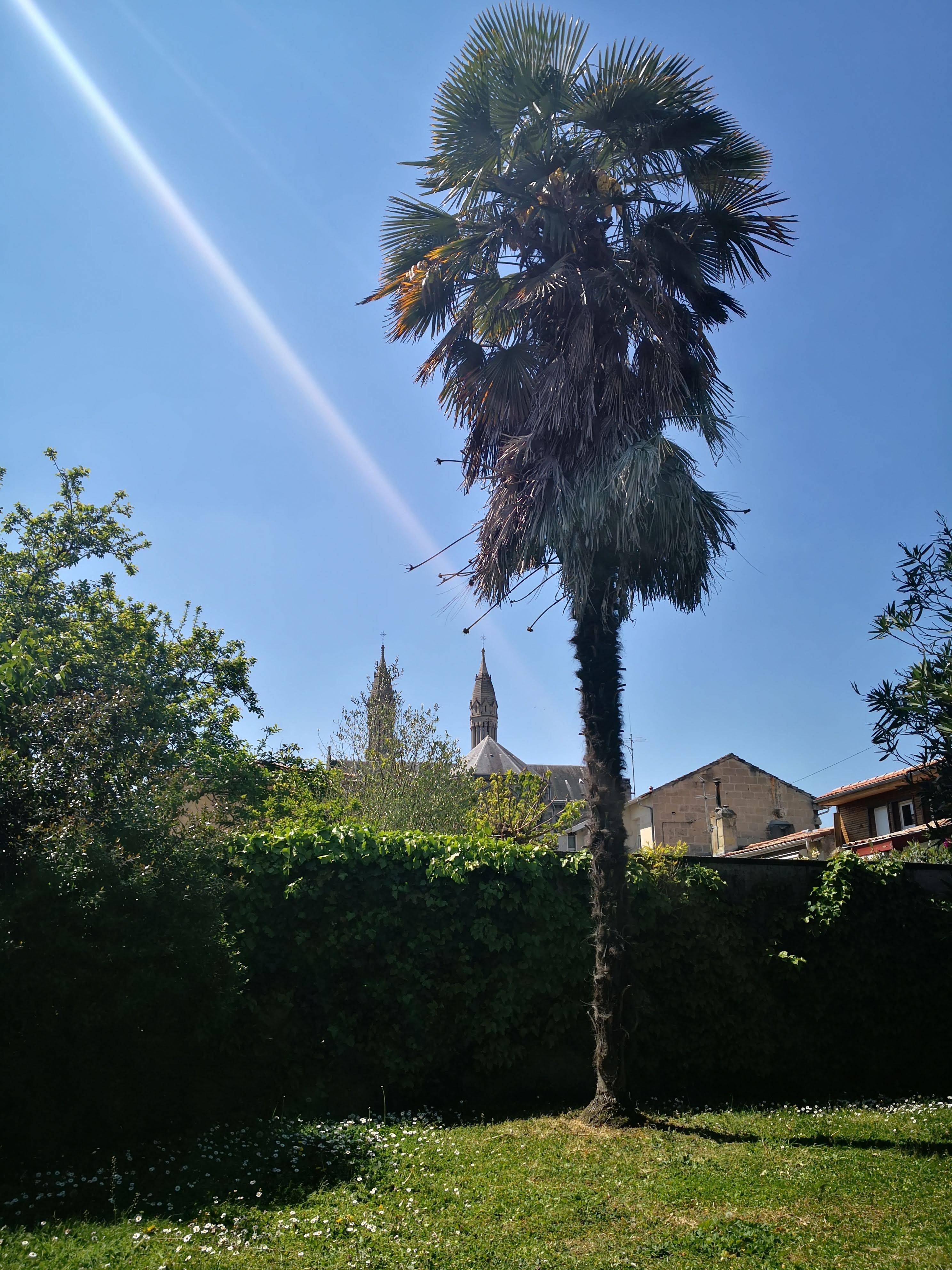 Une photo de l’annonce