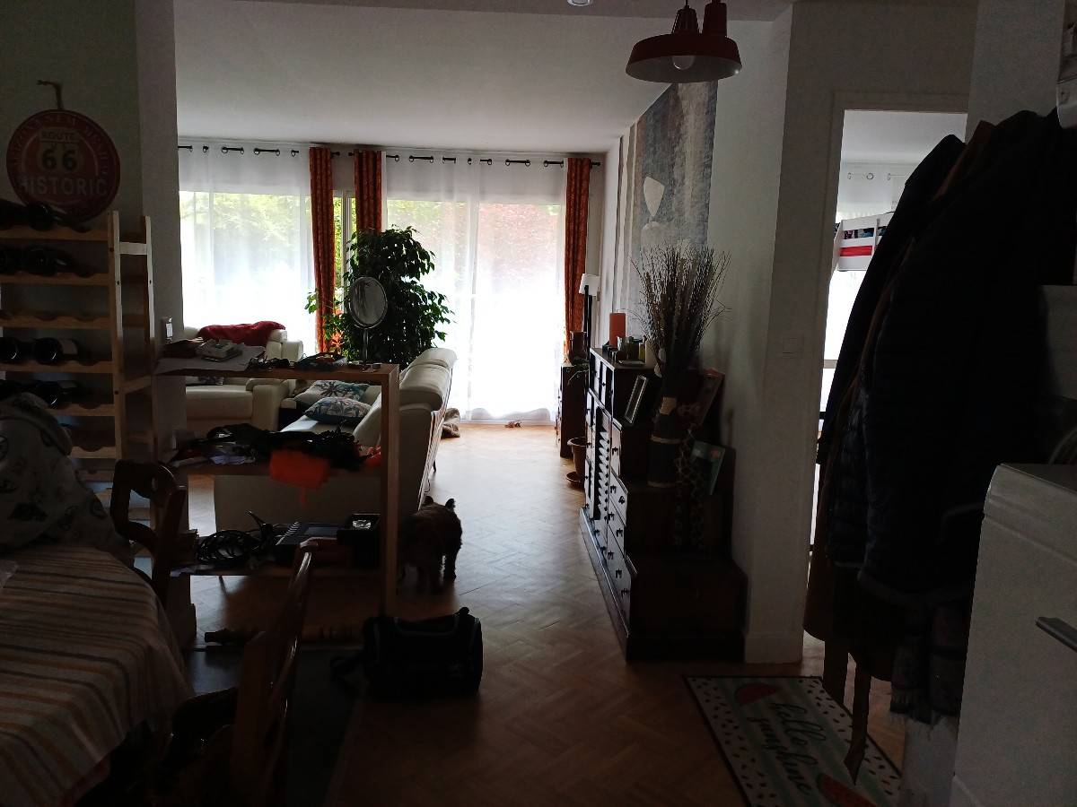 Une photo de l’annonce