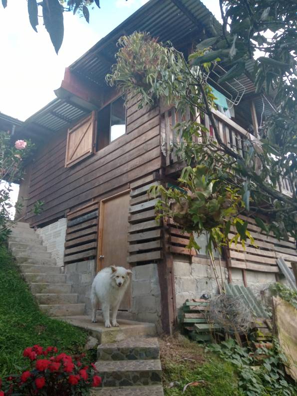 Une photo de l’annonce