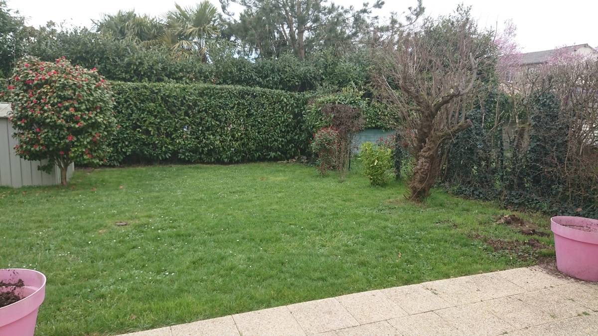 Une photo de l’annonce