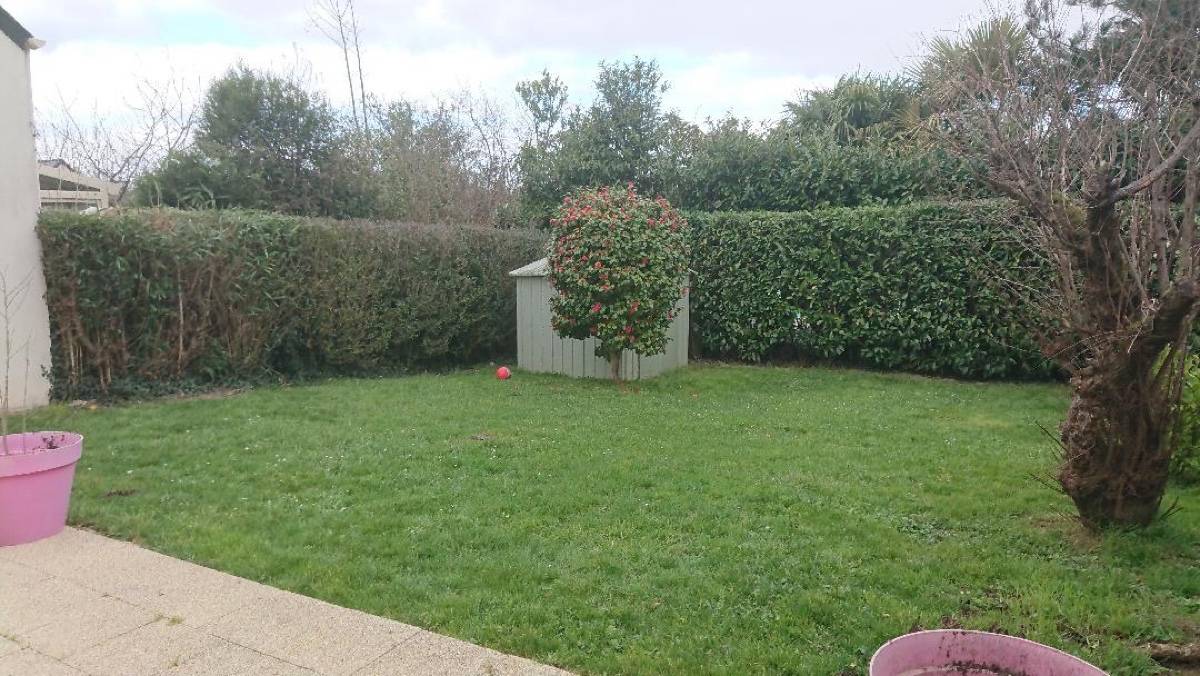 Une photo de l’annonce