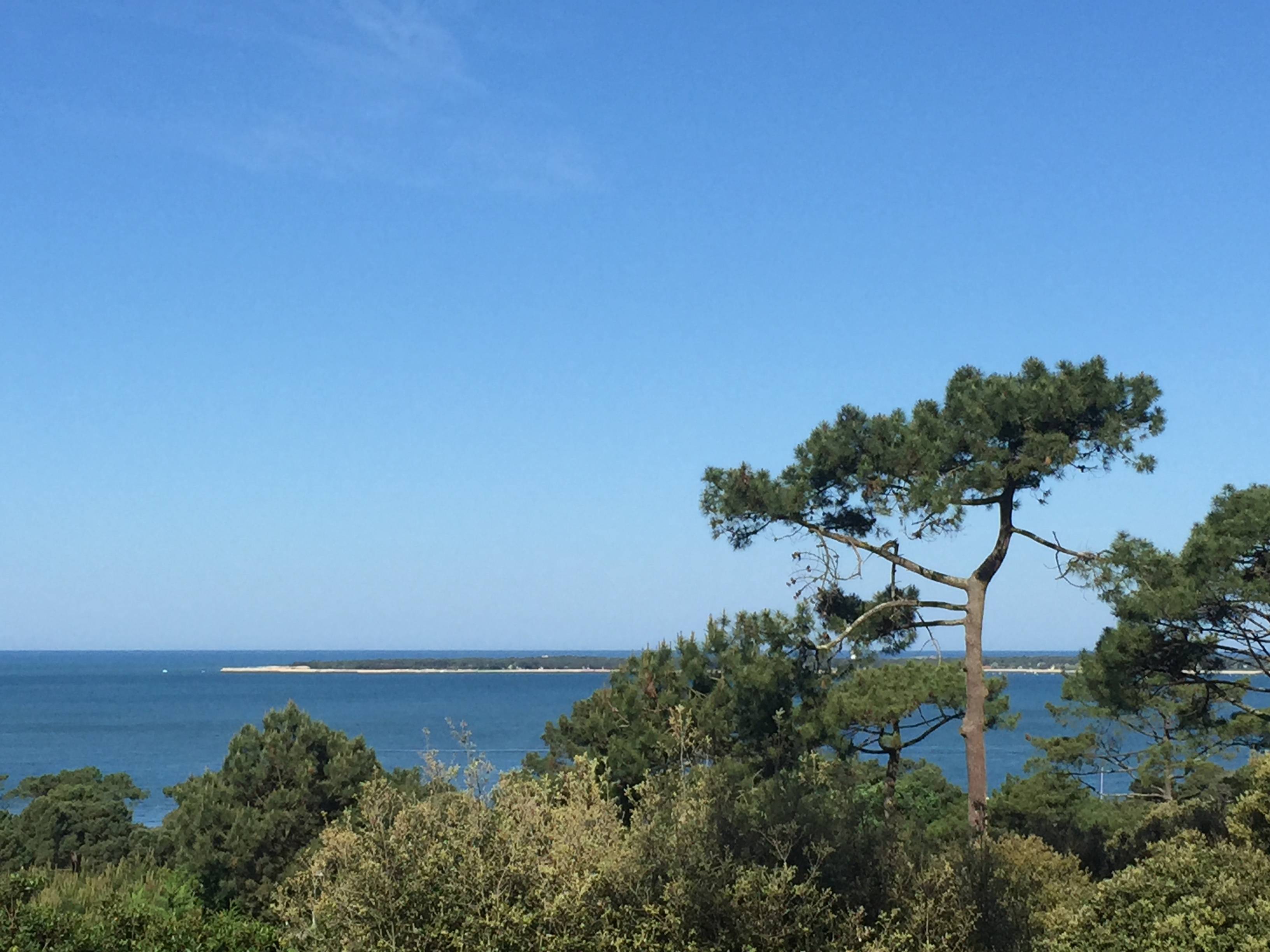 Une photo de l’annonce de location de vacances
