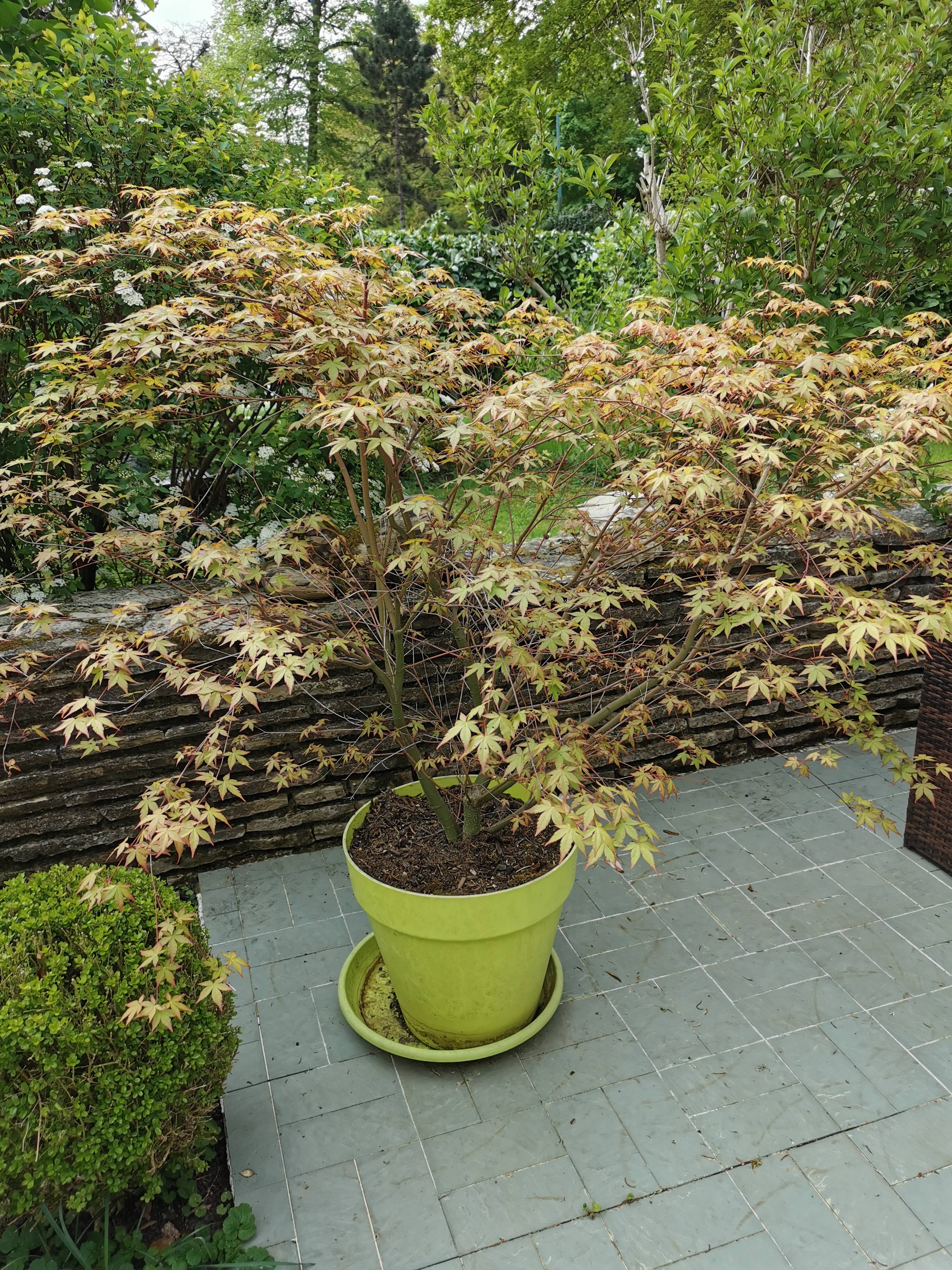 Une photo de l’annonce de location de vacances