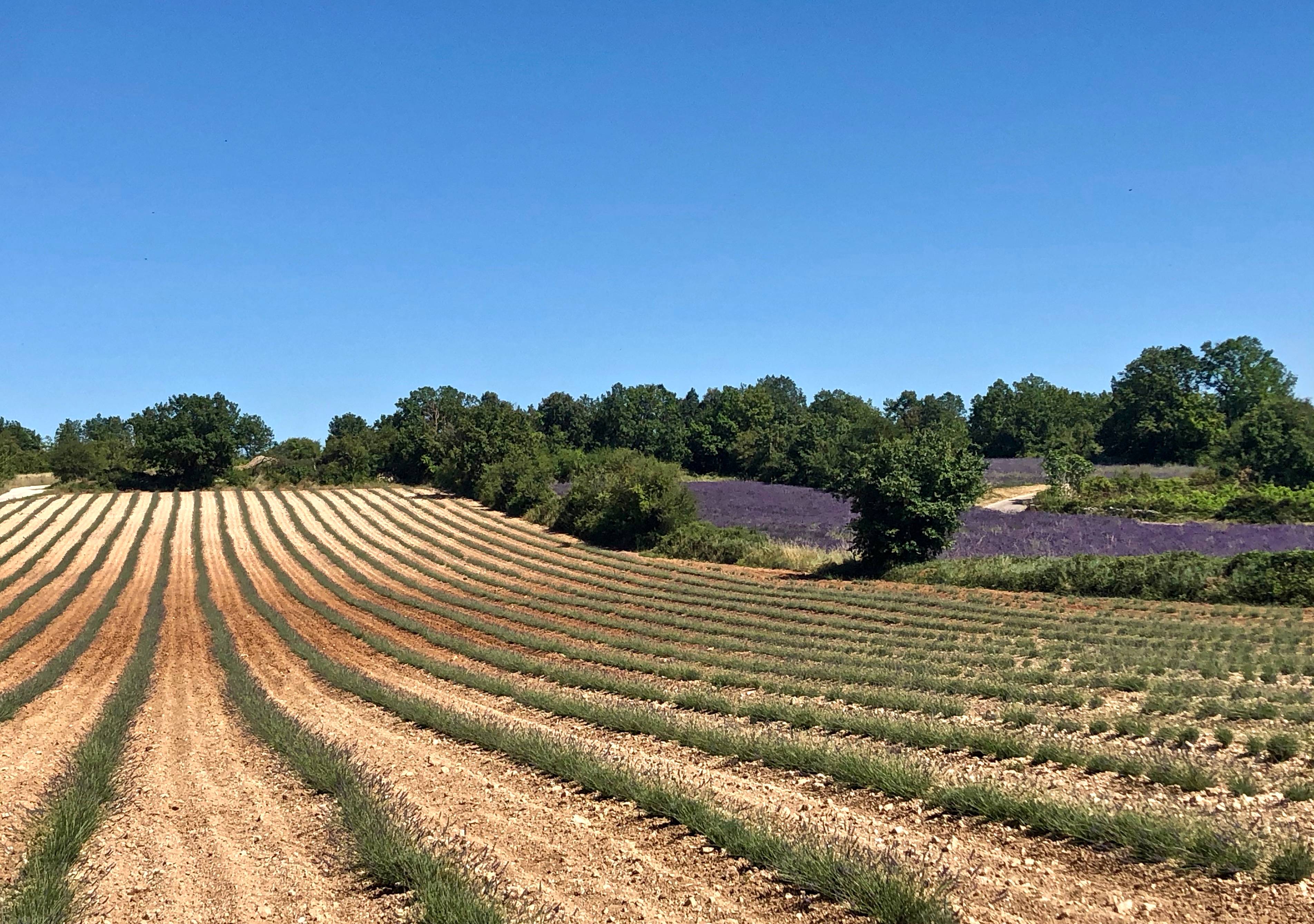Une photo de l’annonce de location de vacances