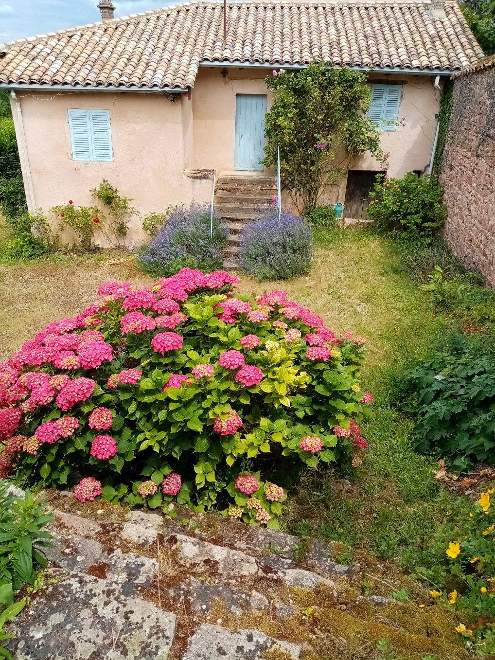Une photo de l’annonce
