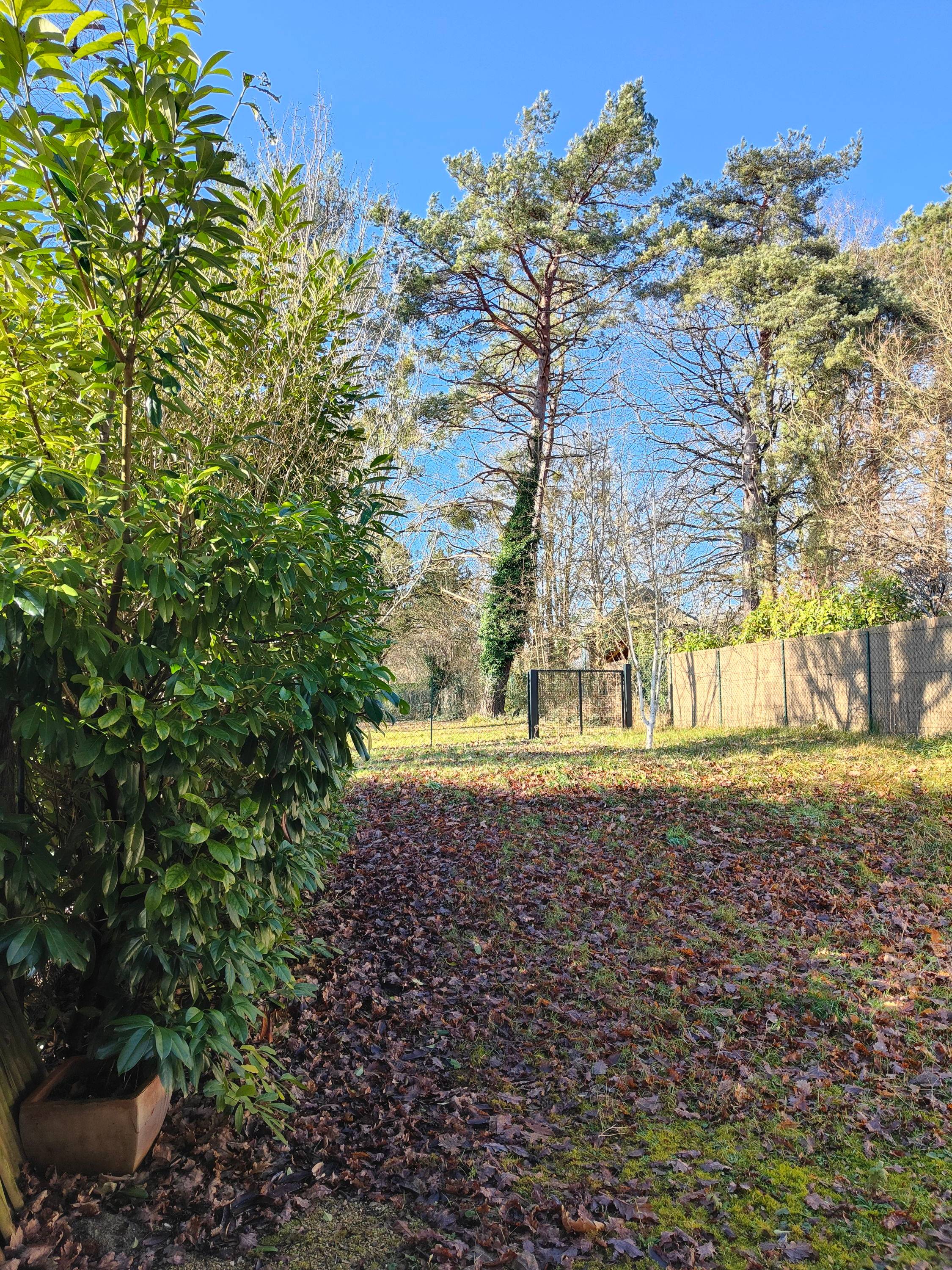 Une photo de l’annonce