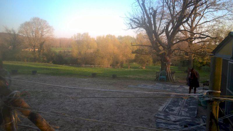 Une photo de l’annonce