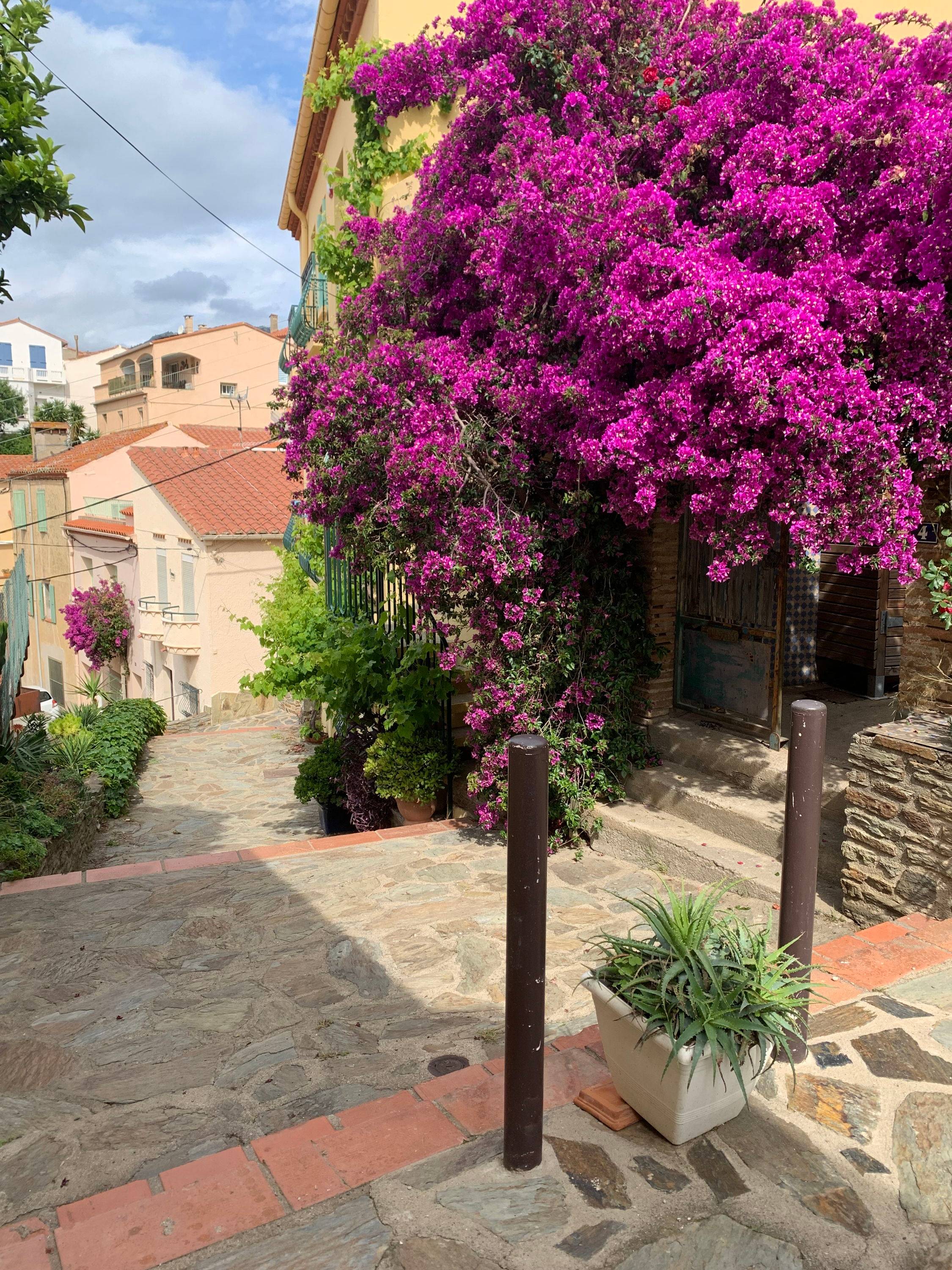 Une photo de l’annonce de location de vacances