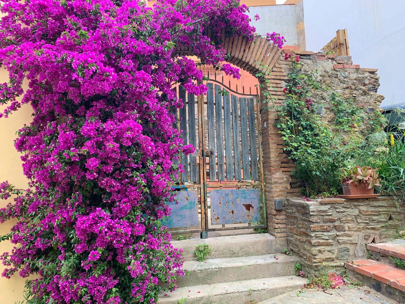 Loue maison 3 chambres, 6 couchages, au calme, plage à 200m, centre ville de Banyuls-sur-Mer (66)