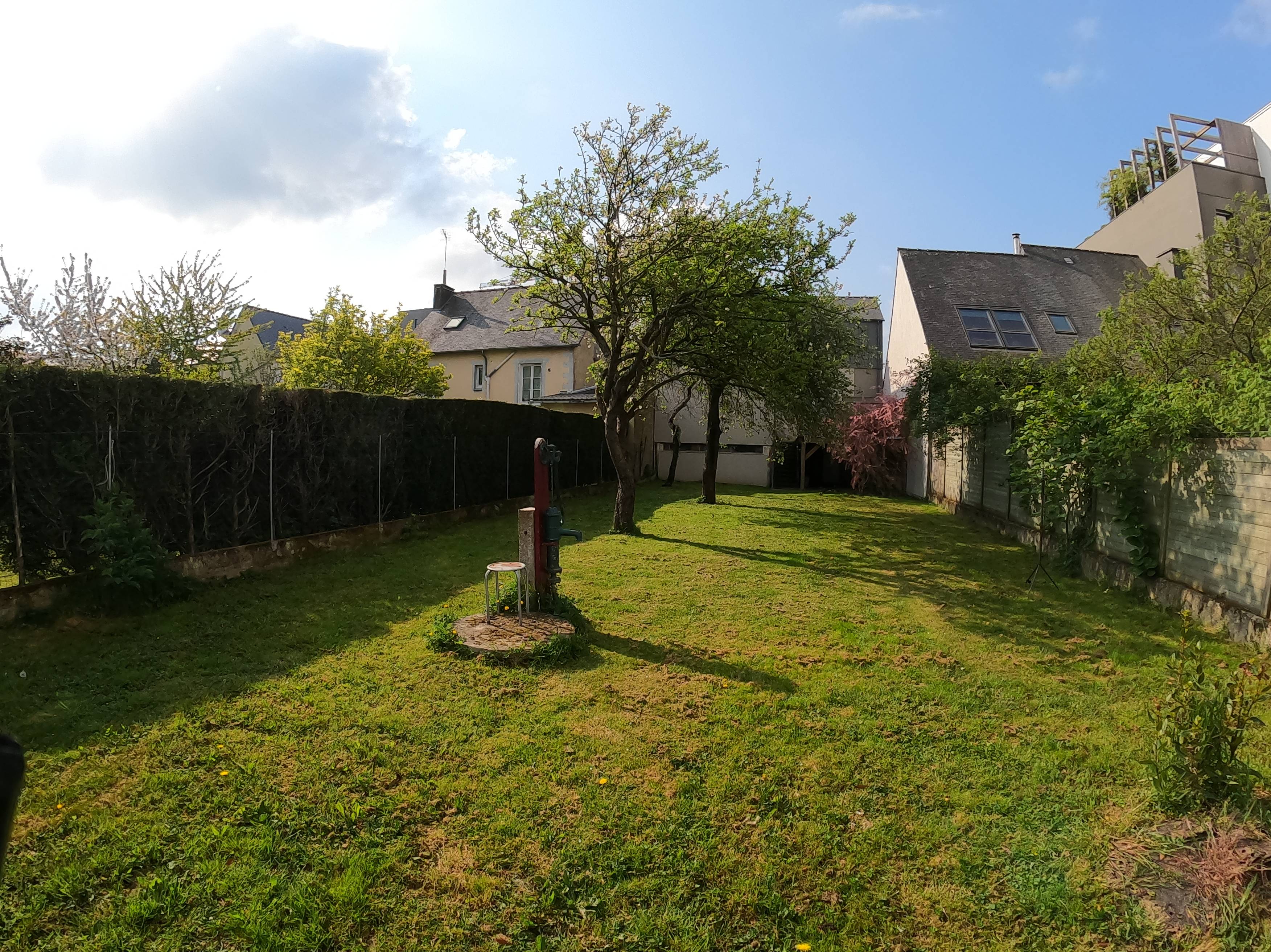 Une photo de l’annonce