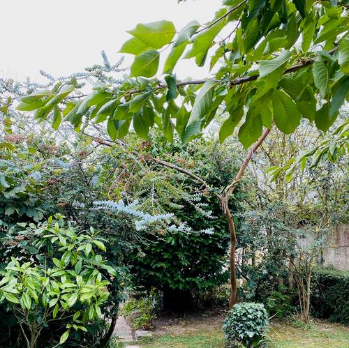Vends Maison de charme, grand jardin sud, Ste Thérèse - 4 chambres, 132m², Rennes (35)