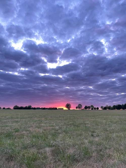 Loue maison - 6 couchages, à 12 km du château d’Amboise dans parc privé et clos de 50 ha