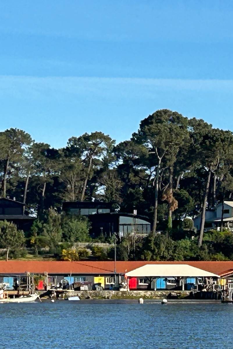 Loue maison vue exceptionnelle Cap Ferret