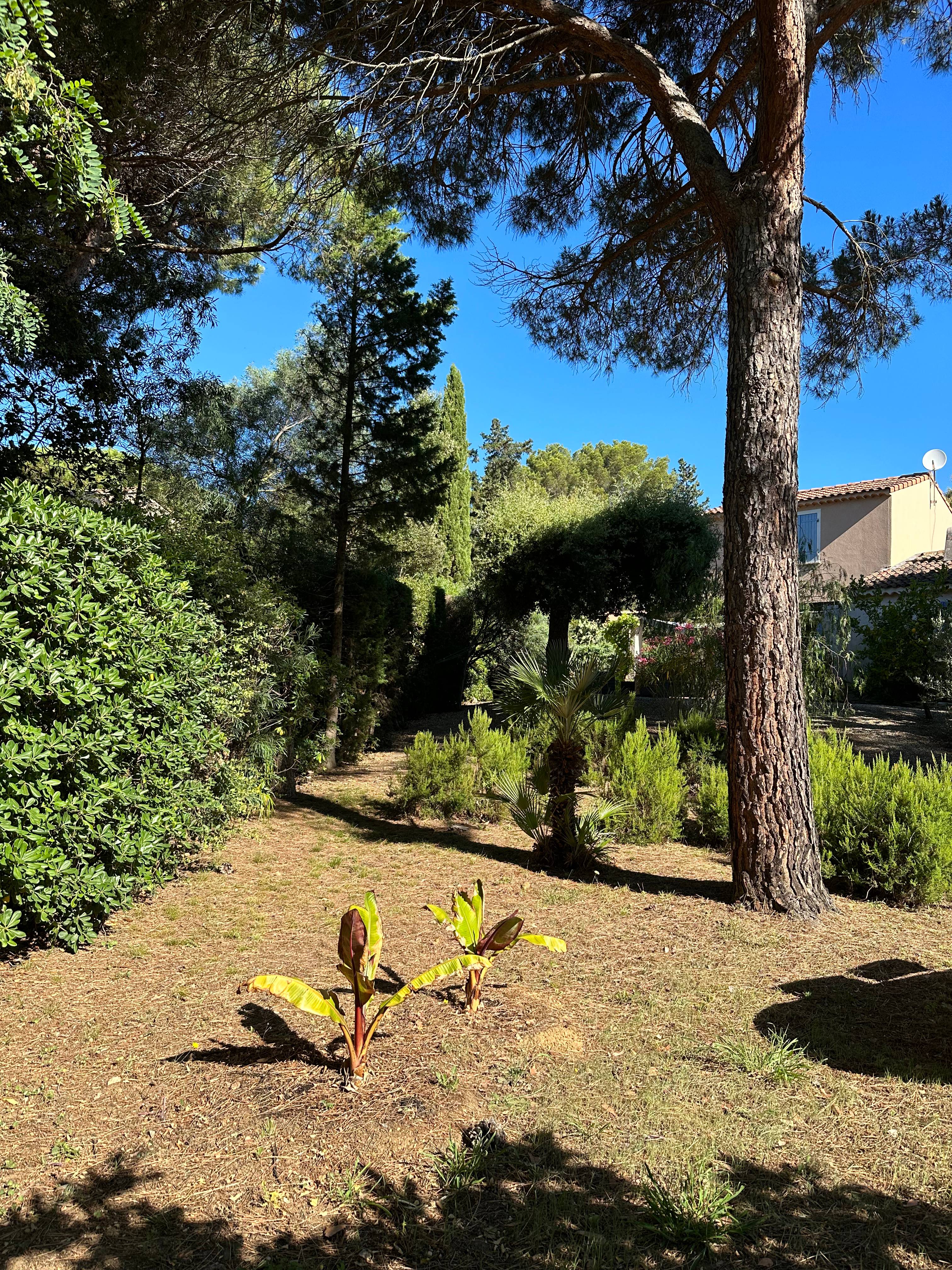 Une photo de l’annonce de location de vacances