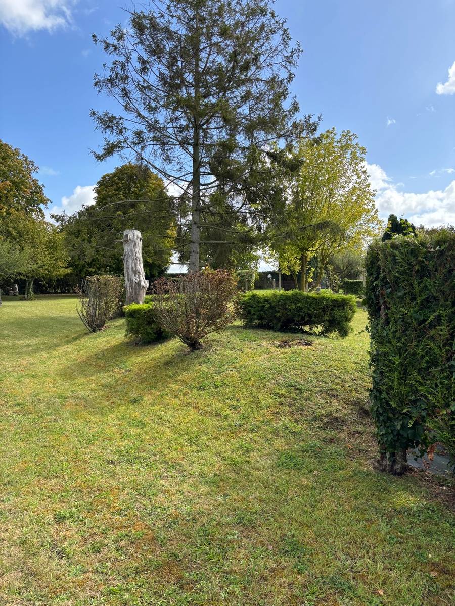 Une photo de l’annonce