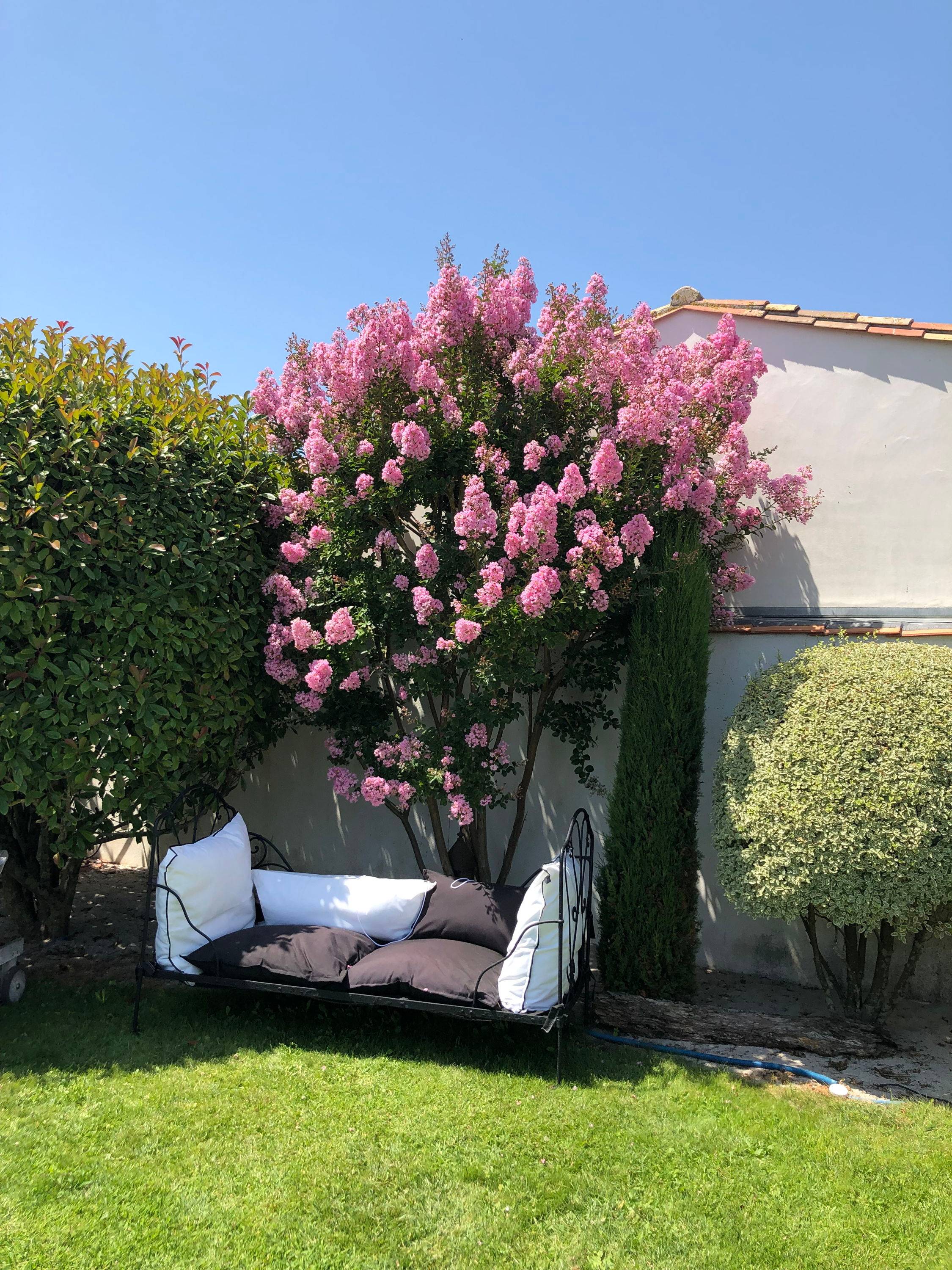 Une photo de l’annonce de location de vacances
