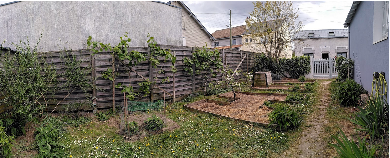 Une photo de l’annonce