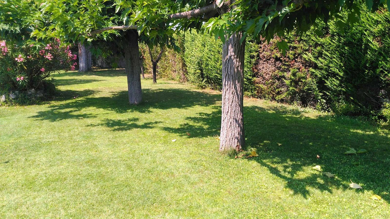 Une photo de l’annonce de location de vacances