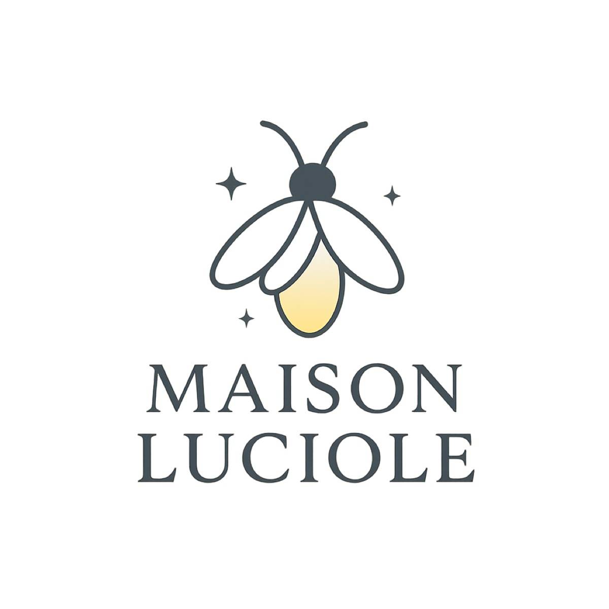Tri et organisation - Maison Luciole – Conciergerie spécialisée