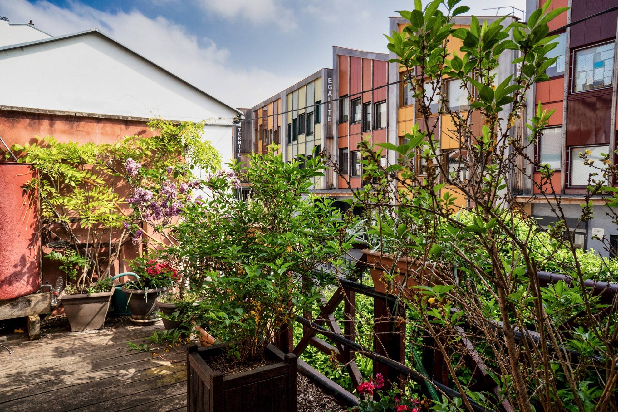 Une photo de l’annonce