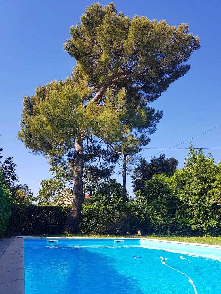 Une photo de l’annonce de location de vacances