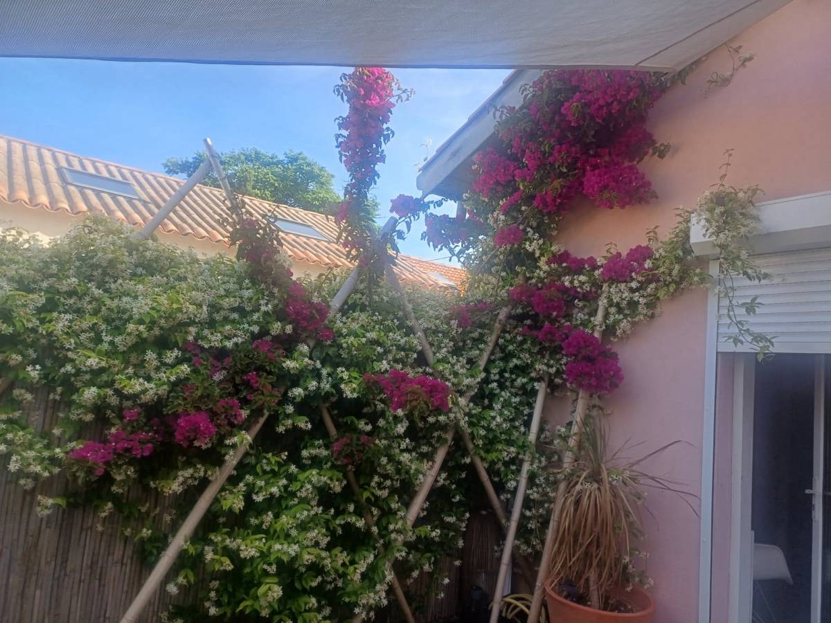 Loue maison entre mer et calanques quartier de Montredon Marseille 8ème extérieur 2 chambres - 6 couchages