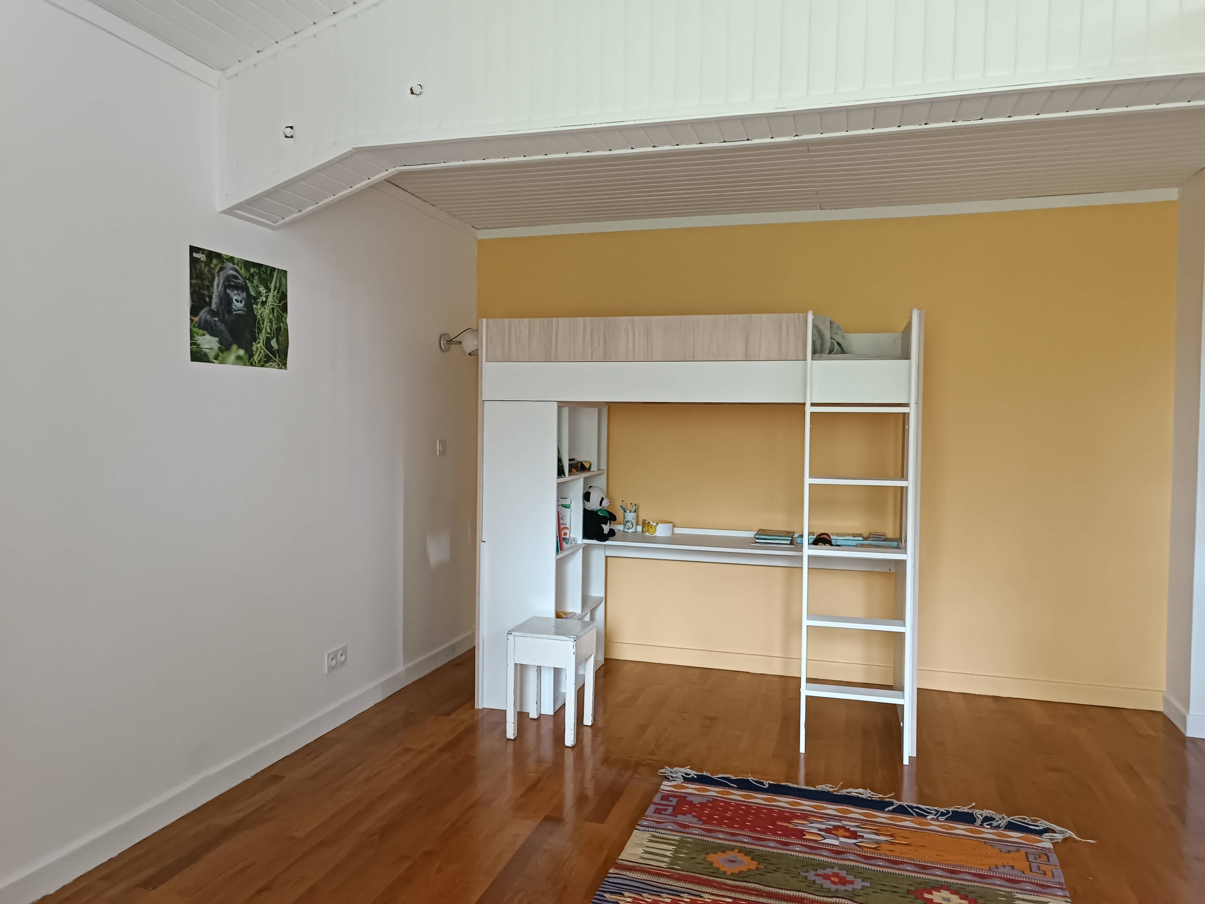 Une photo de l’annonce