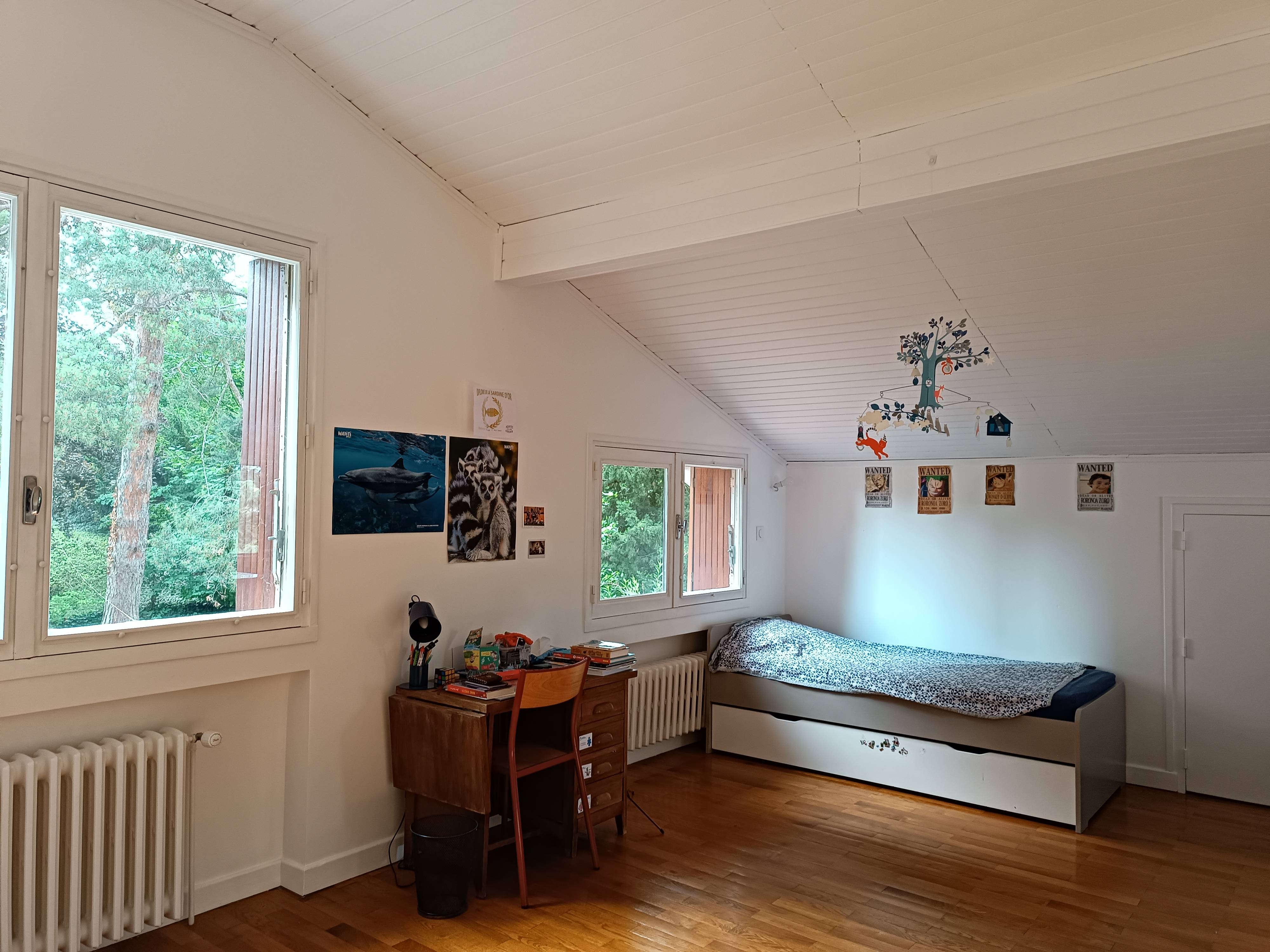 Une photo de l’annonce