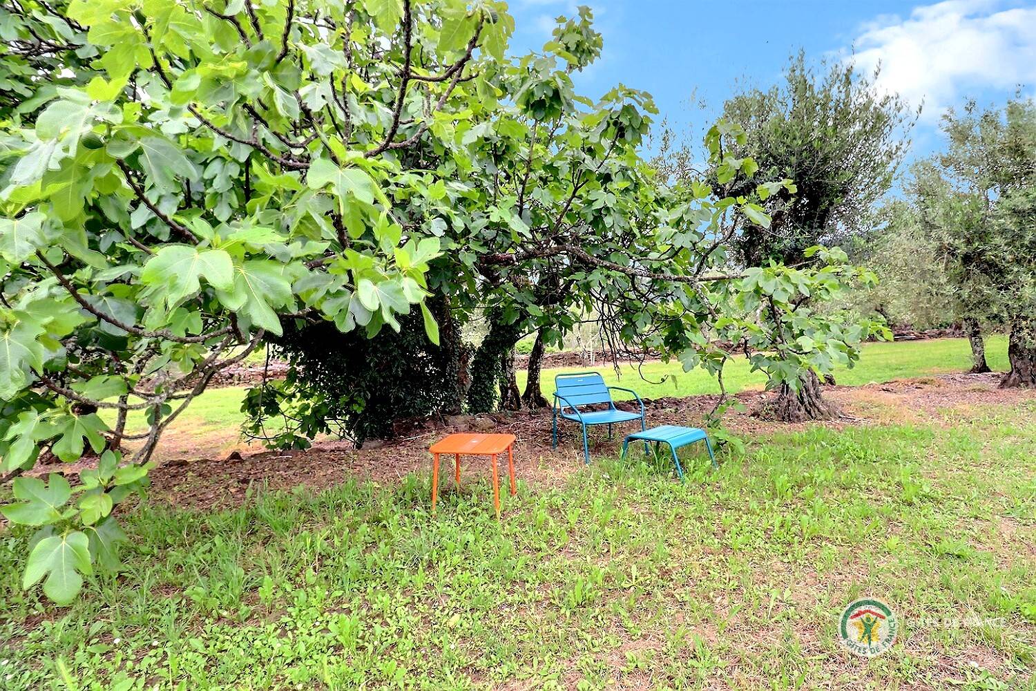 Une photo de l’annonce de location de vacances