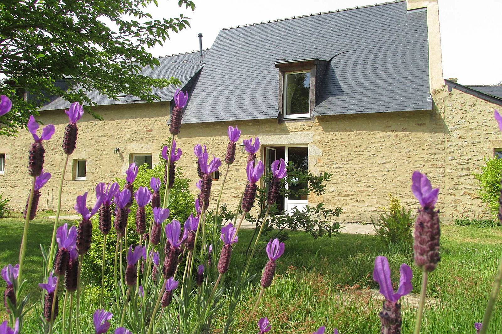 Une photo de l’annonce de location de vacances