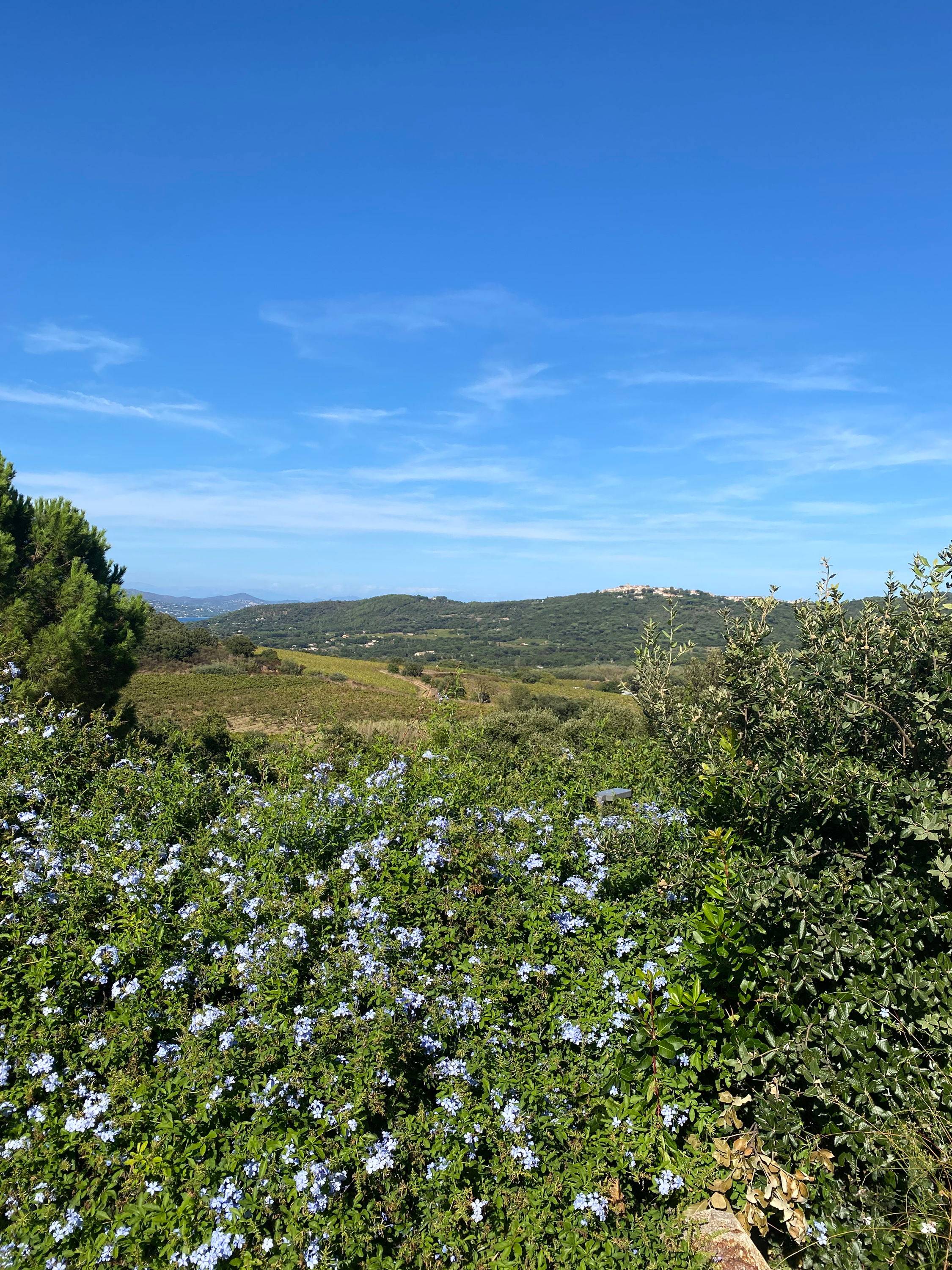 Une photo de l’annonce de location de vacances
