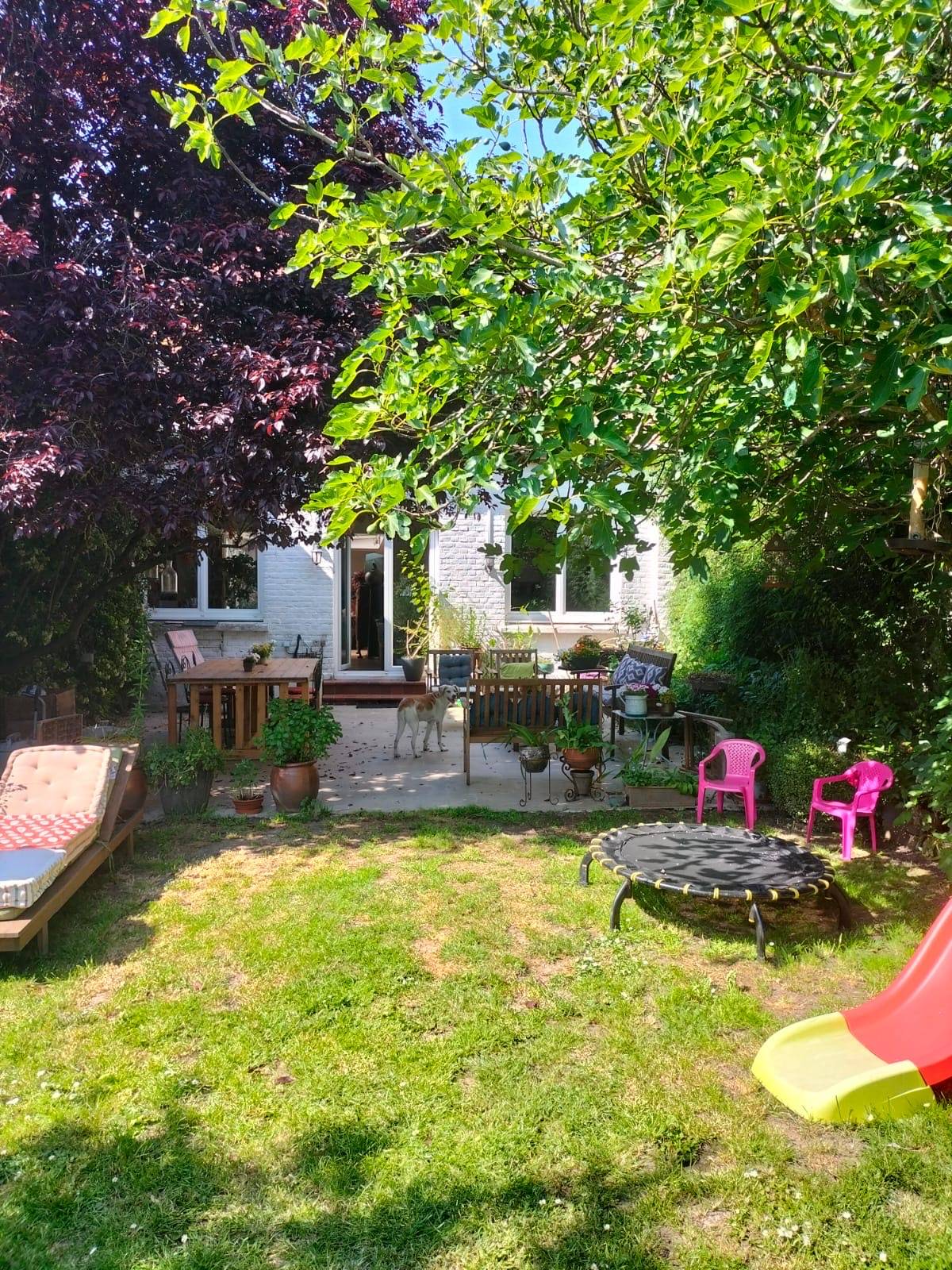 Une photo de l’annonce