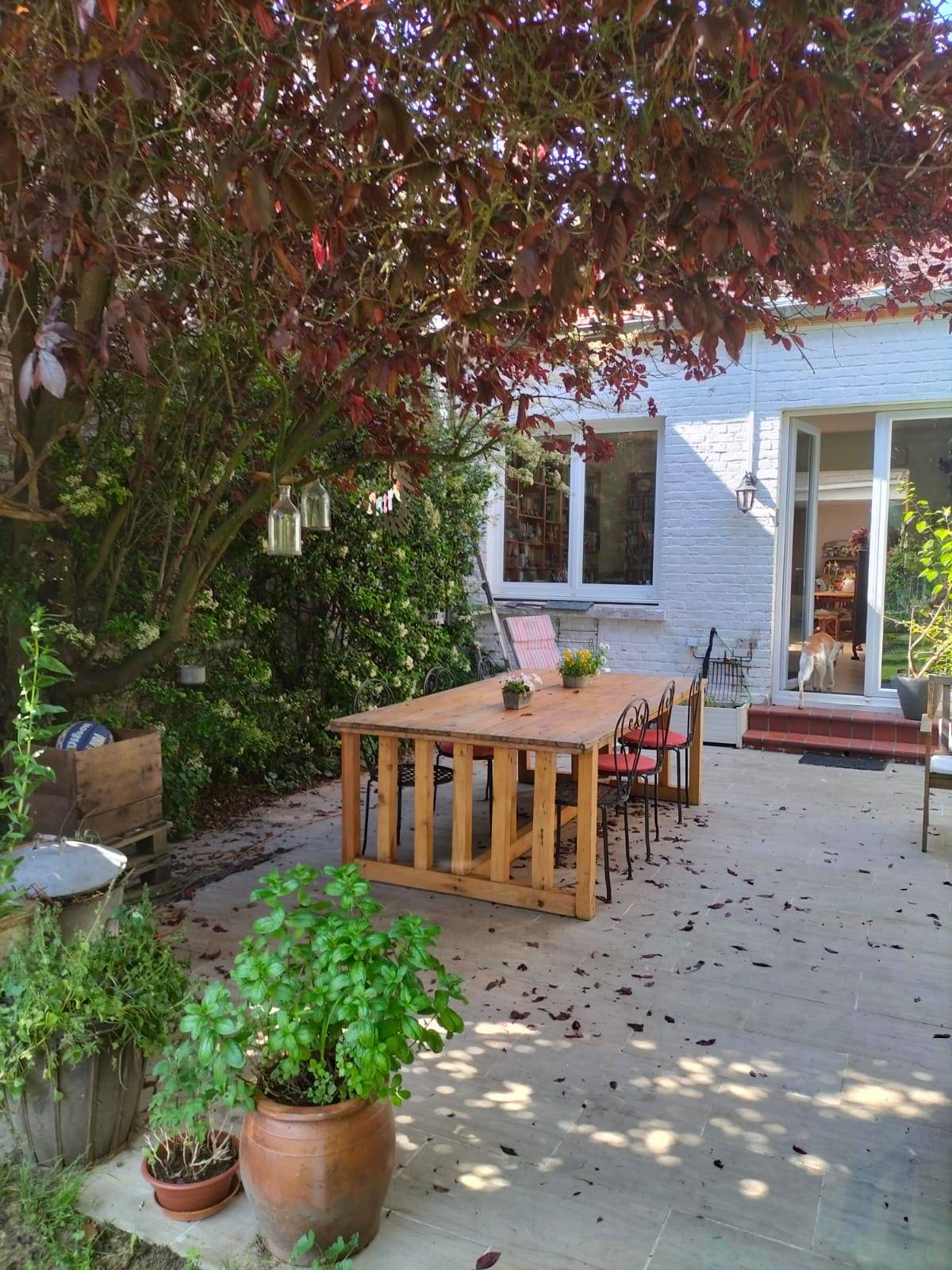 Une photo de l’annonce