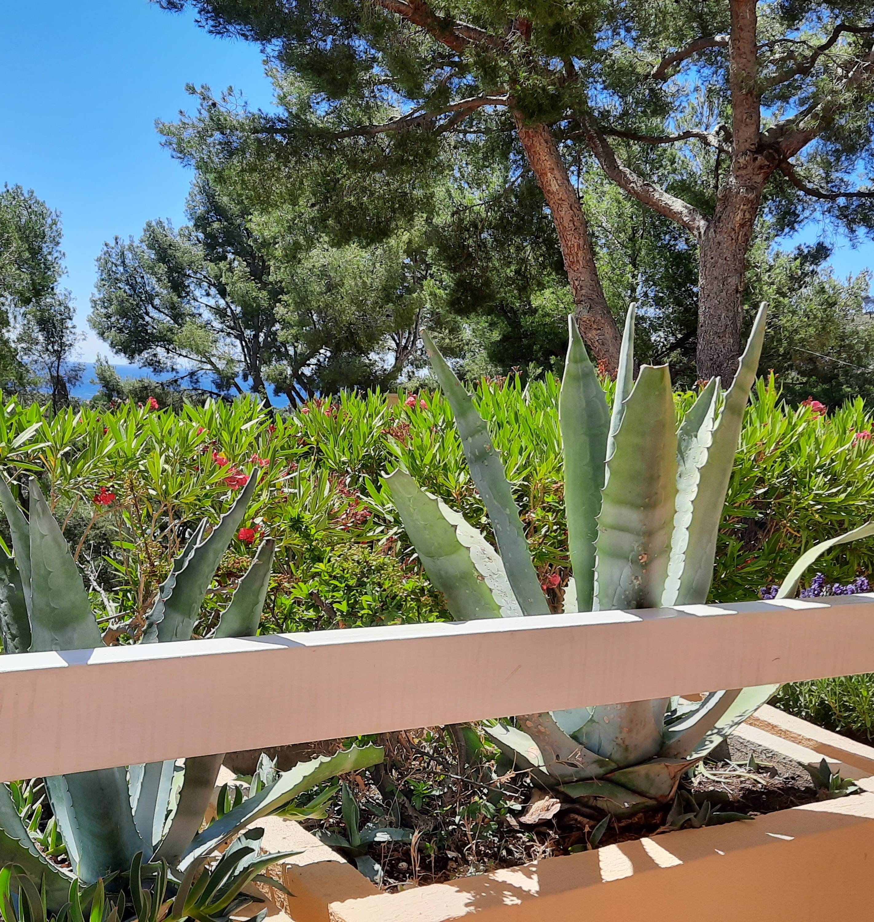 Loue appartement T2 à Saint-Mandrier-sur-Mer - 4 couchages