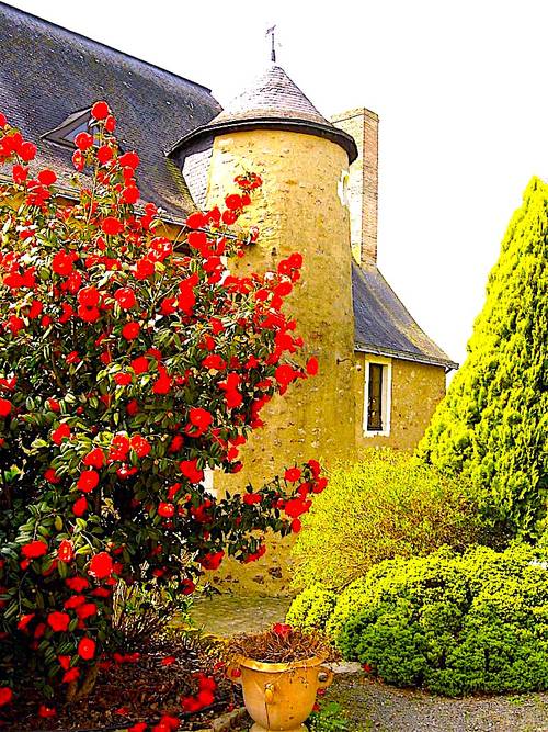 Loue Manoir de Charme 10 couchages - Saint-Brice (53)