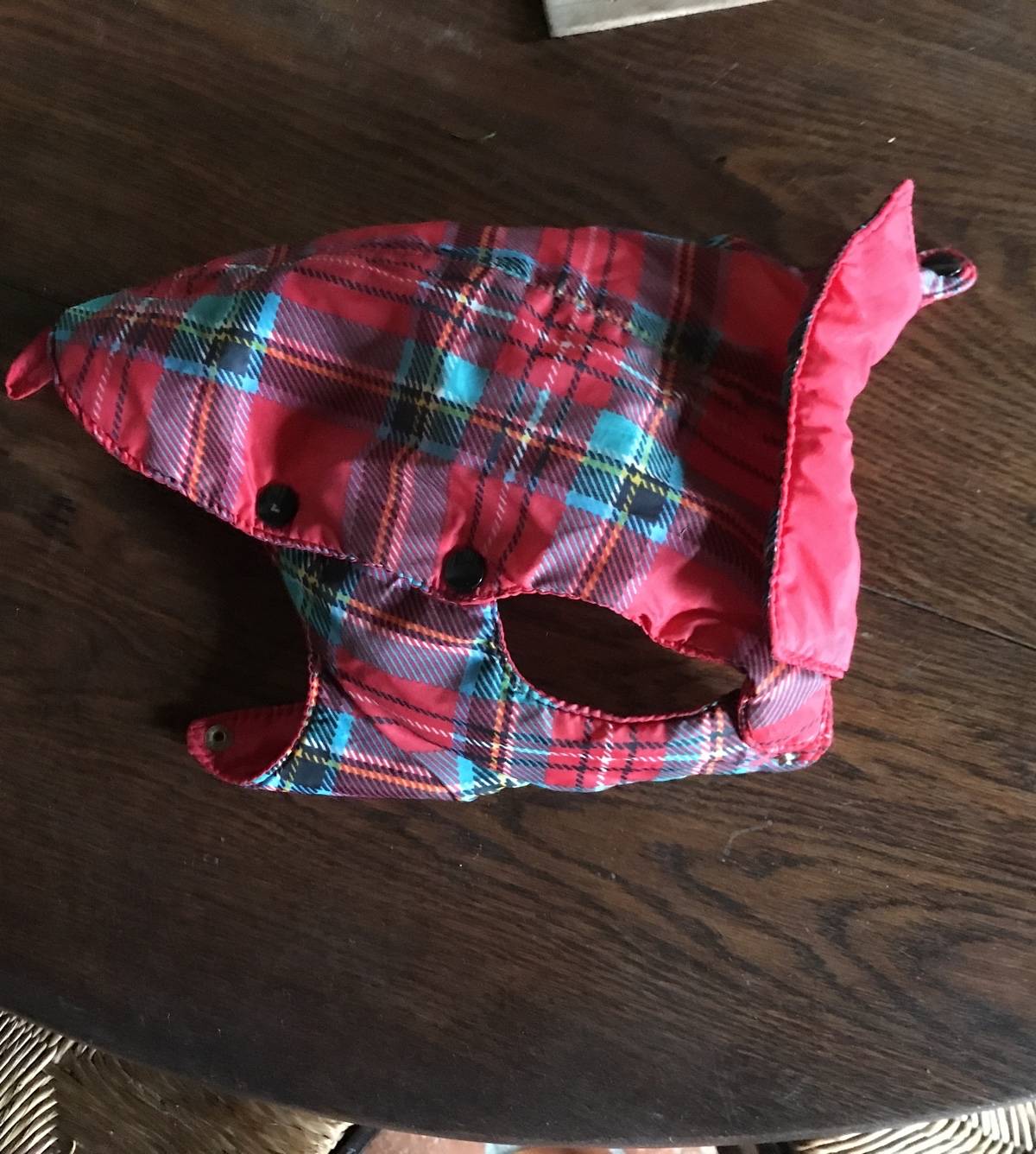 Manteau pour petit chien